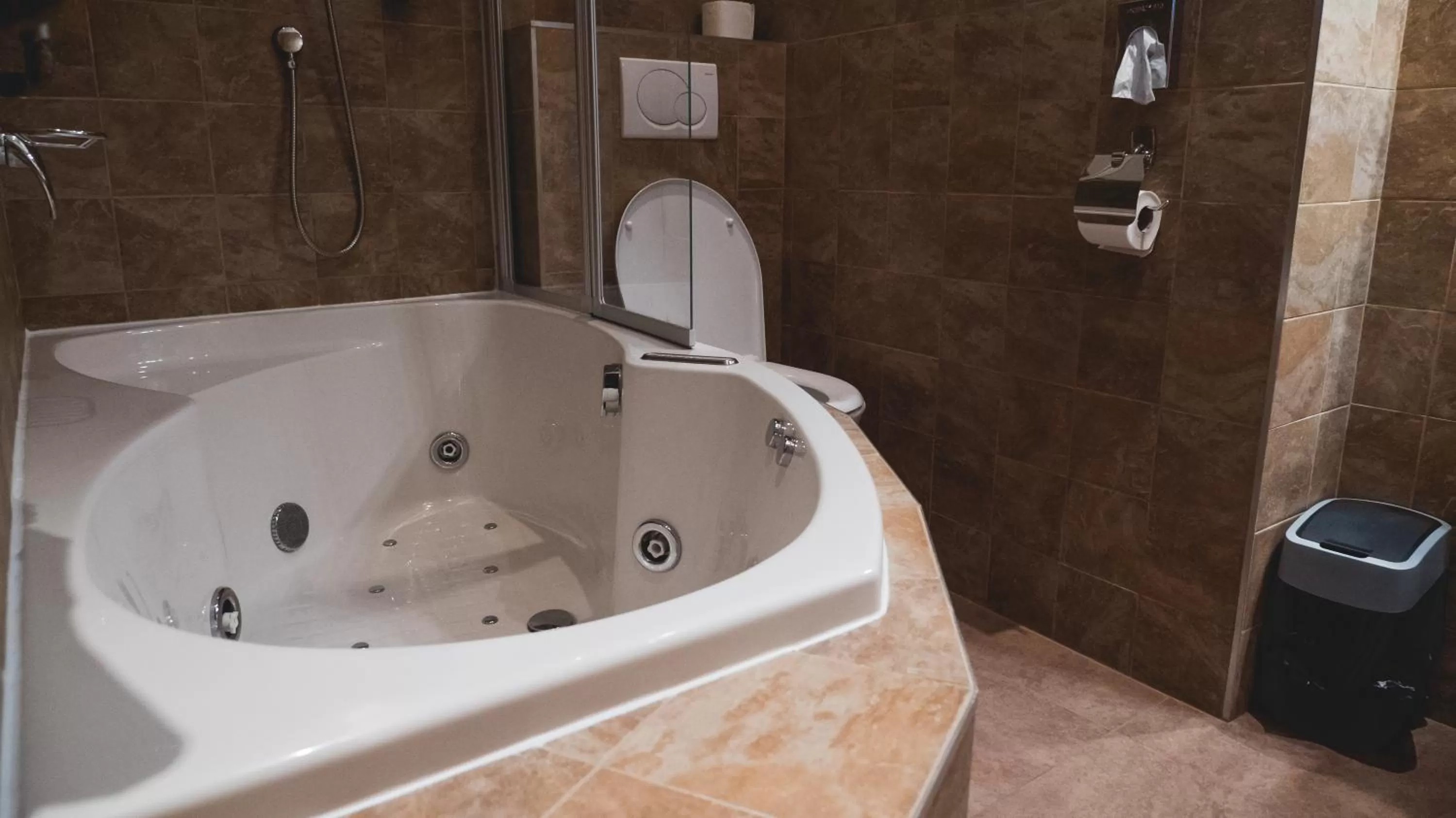 Toilet in Hotel U Ševce