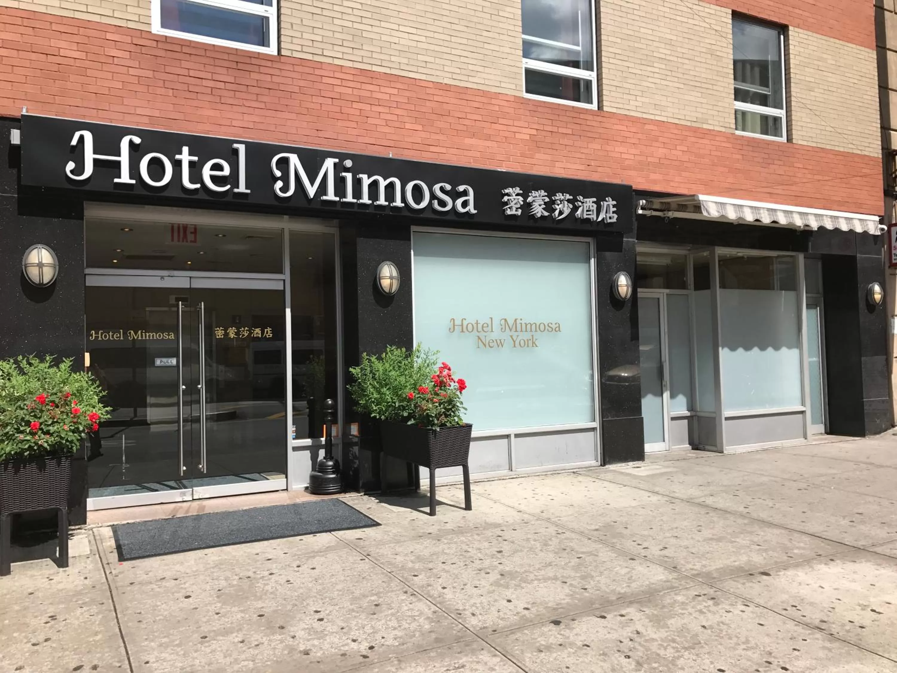 Hotel Mimosa