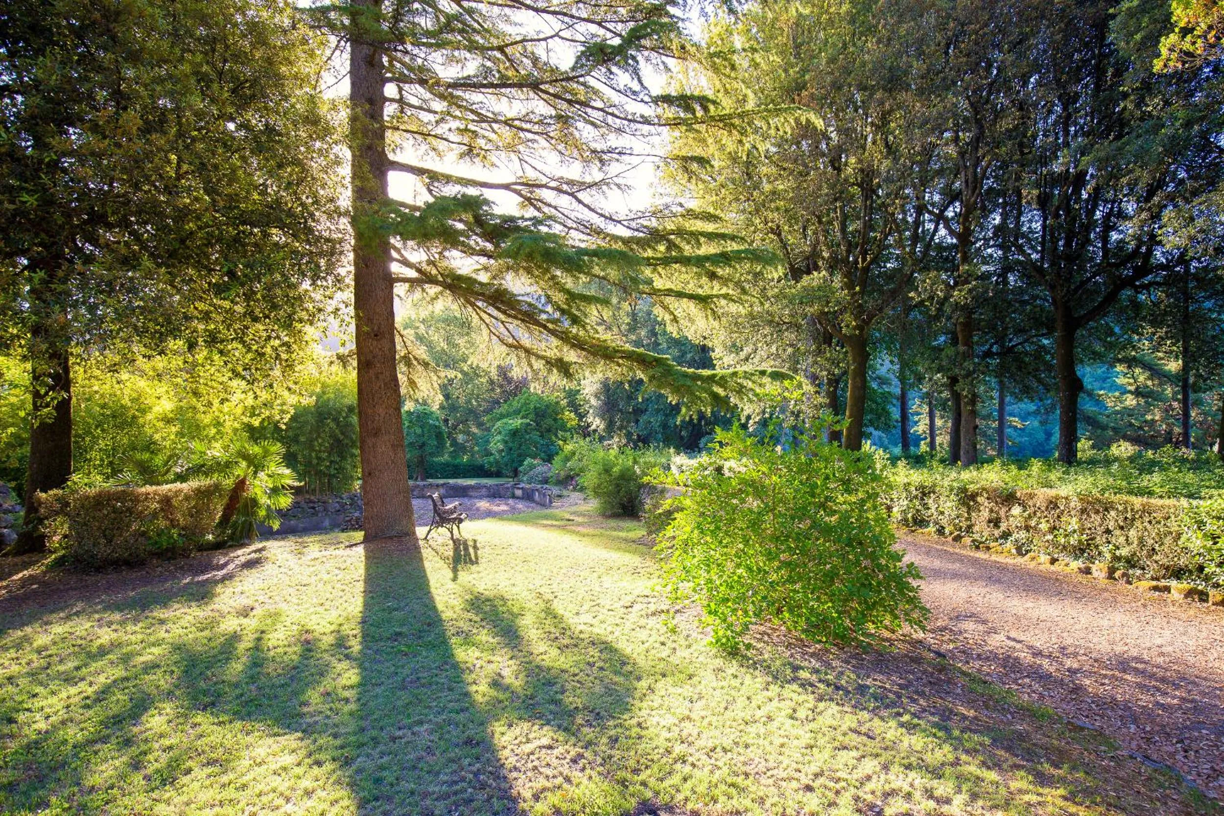 Garden in Villa Pitiana