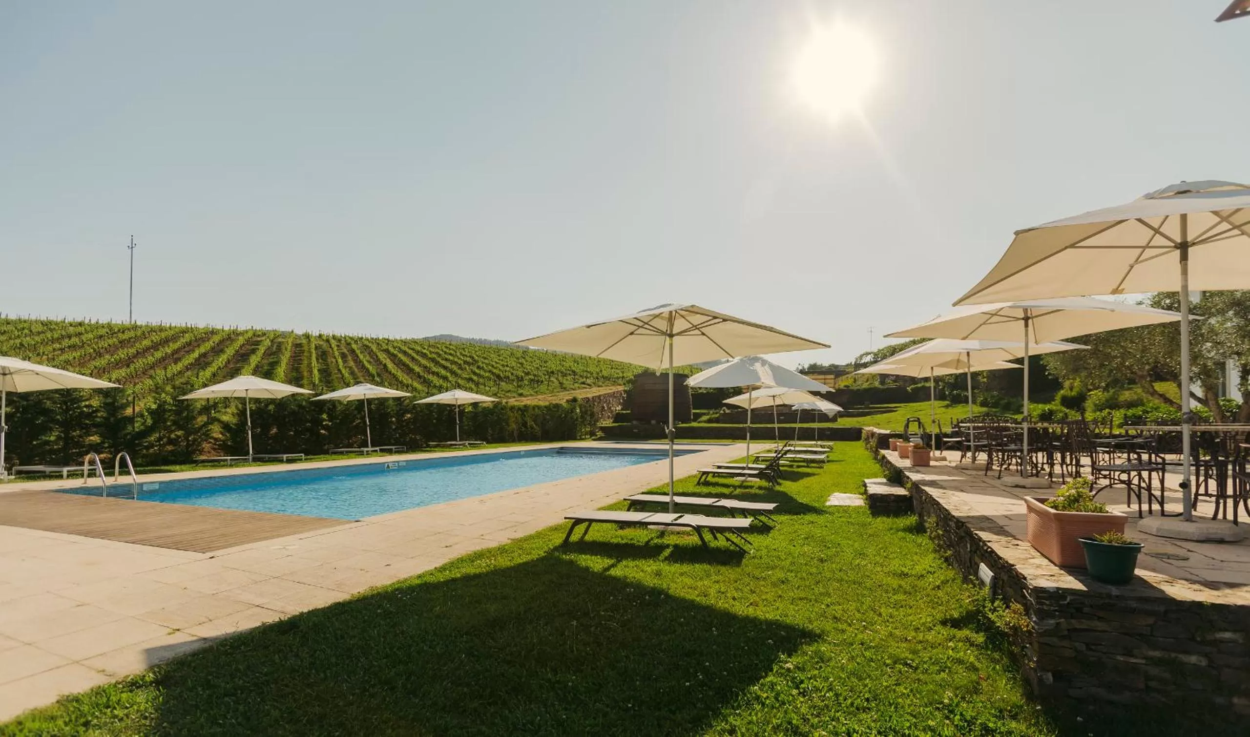 Garden in The Manor House Celeirós