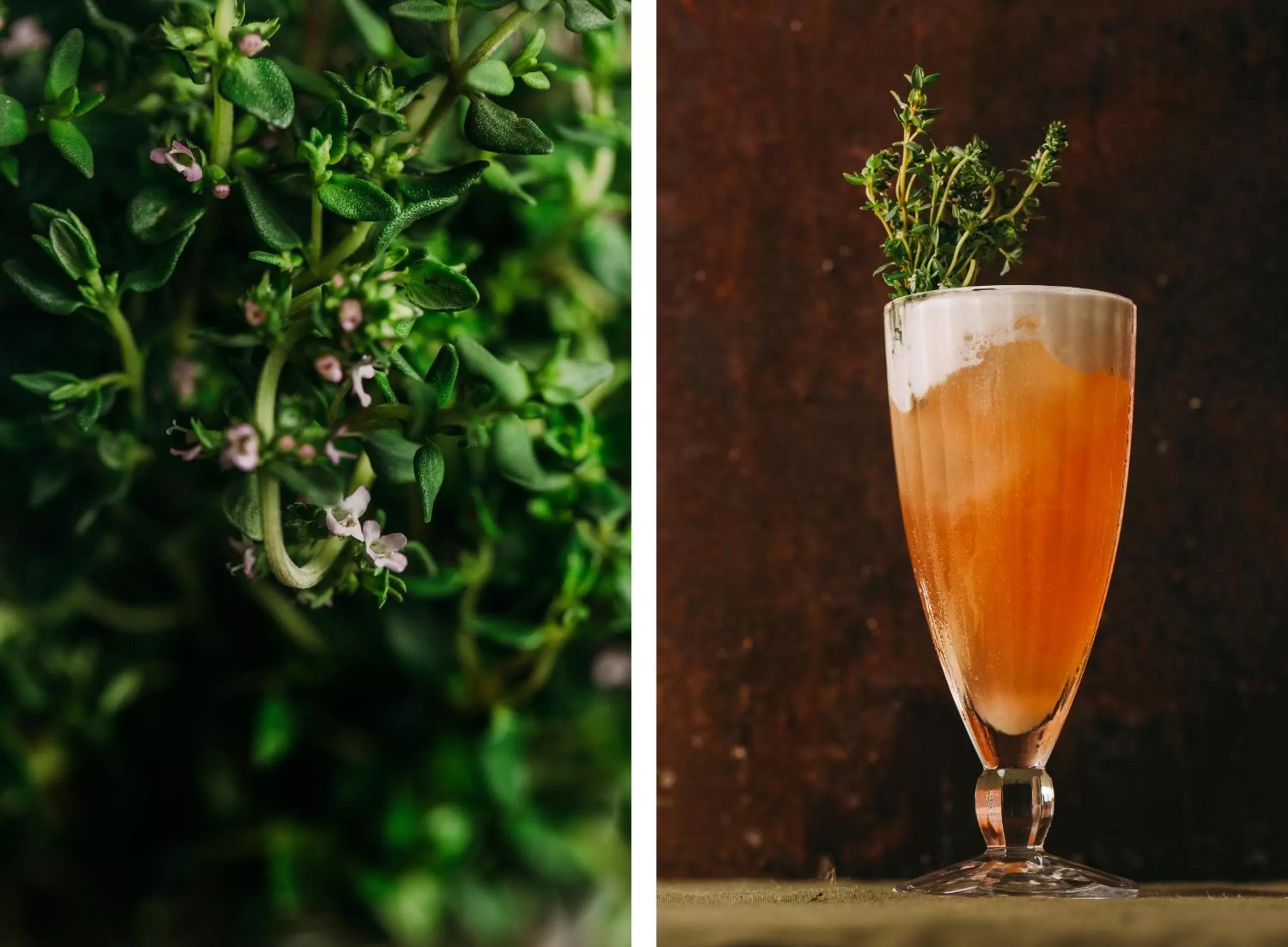 Drinks in Santa Barbara Eco-Beach Resort