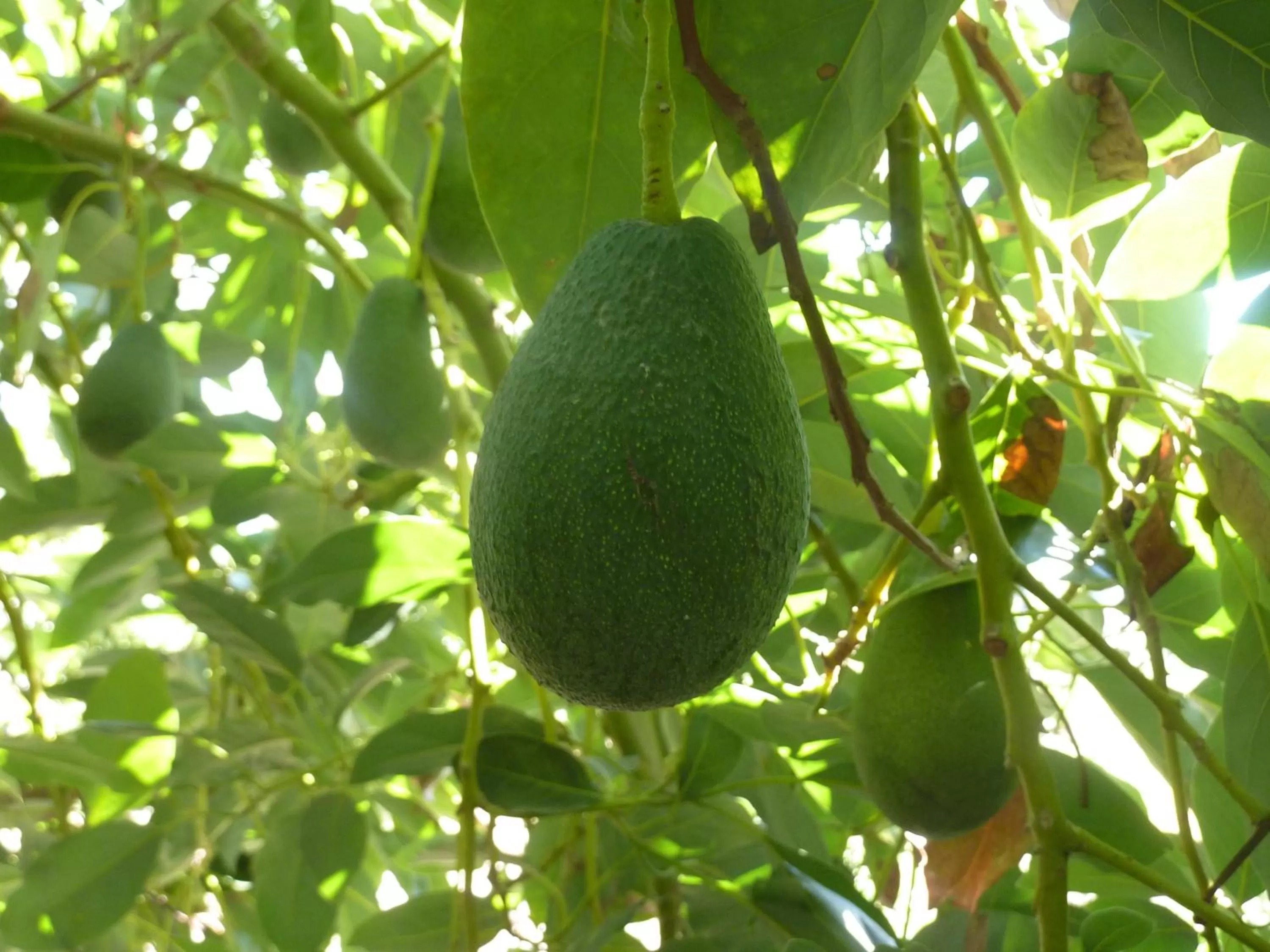 Other in Aphrodite Beach Hotel