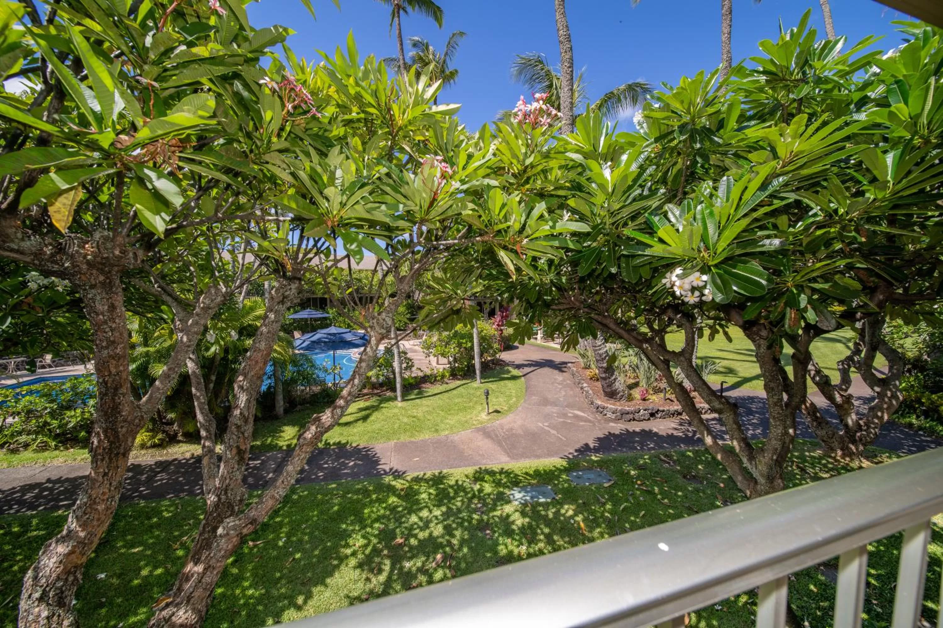 Natural landscape in Napili Shores Maui by OUTRIGGER - No Resort & Housekeeping Fees