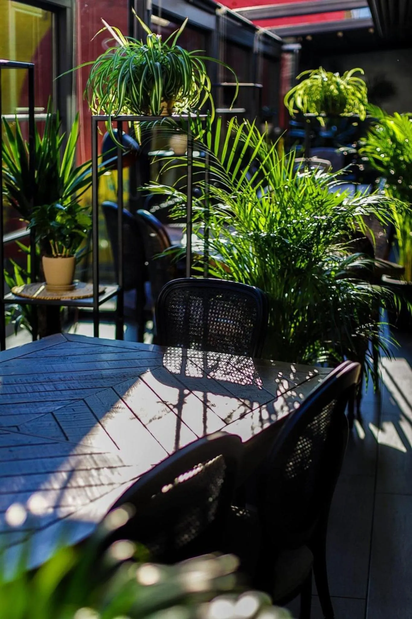 Balcony/Terrace in Gallery Palace Hotel