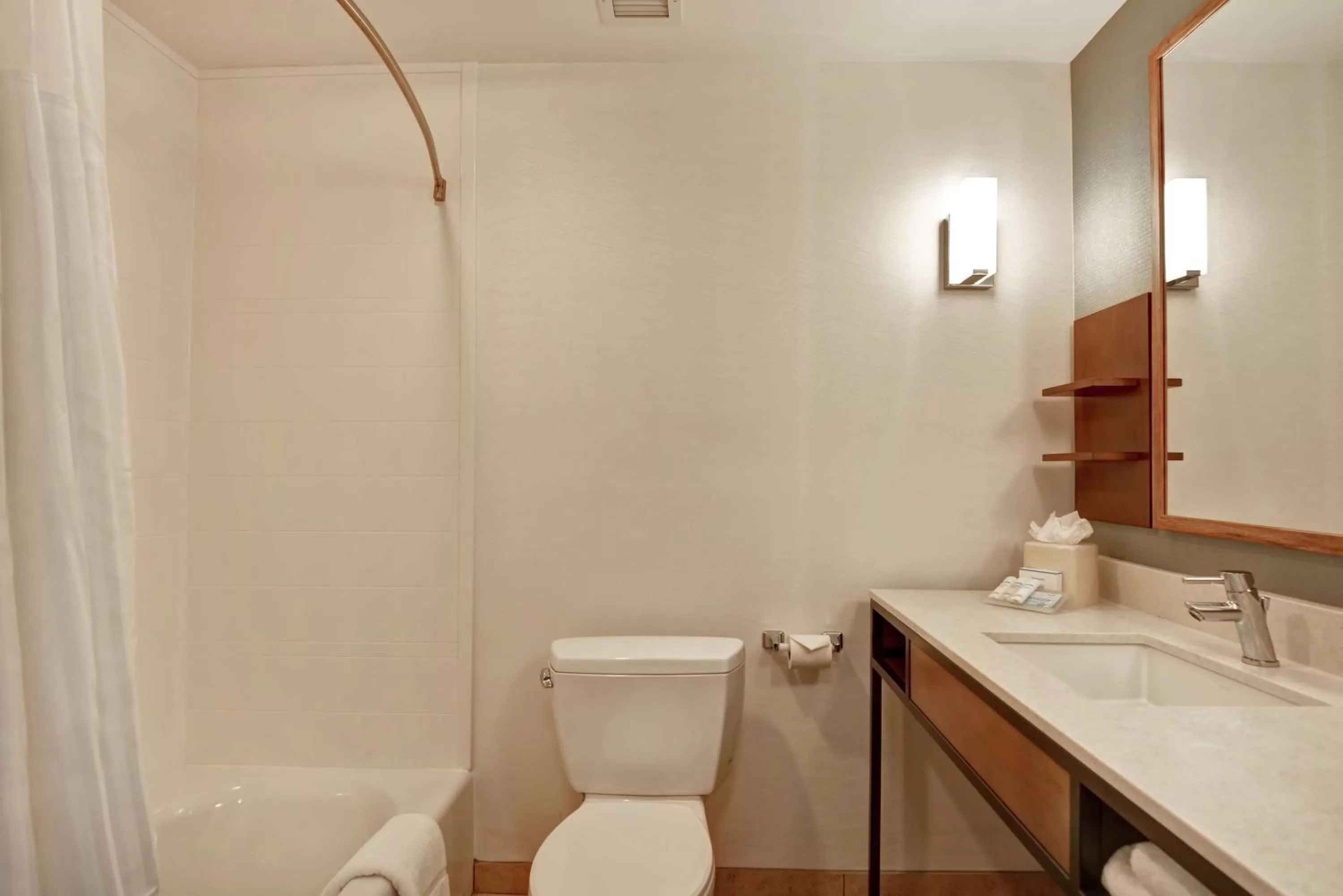 Bathroom in Hilton Garden Inn Mobile East Bay / Daphne