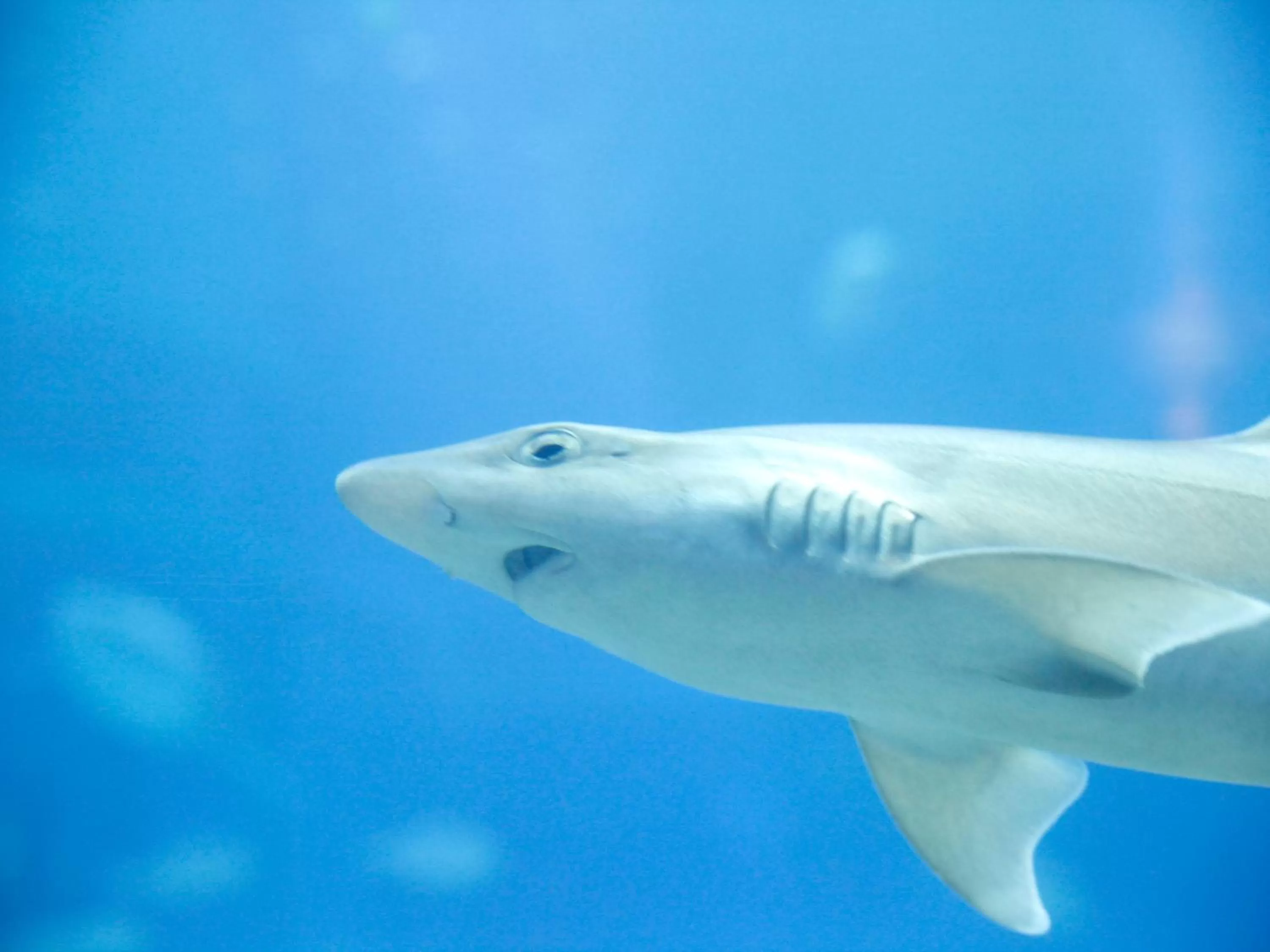 Nearby landmark in Hotel Wing International Select Osaka Umeda