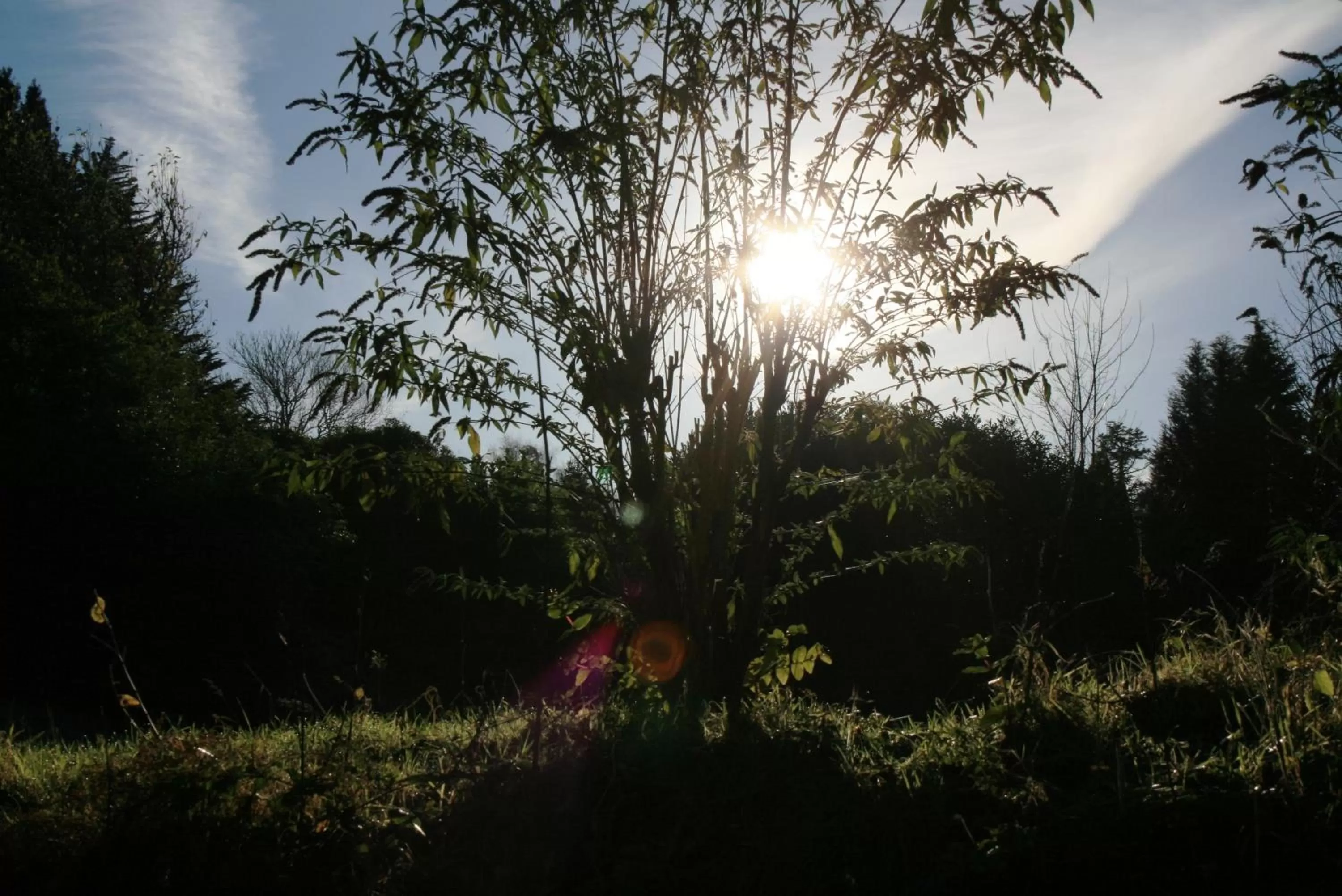 Garden in Lindeth Howe