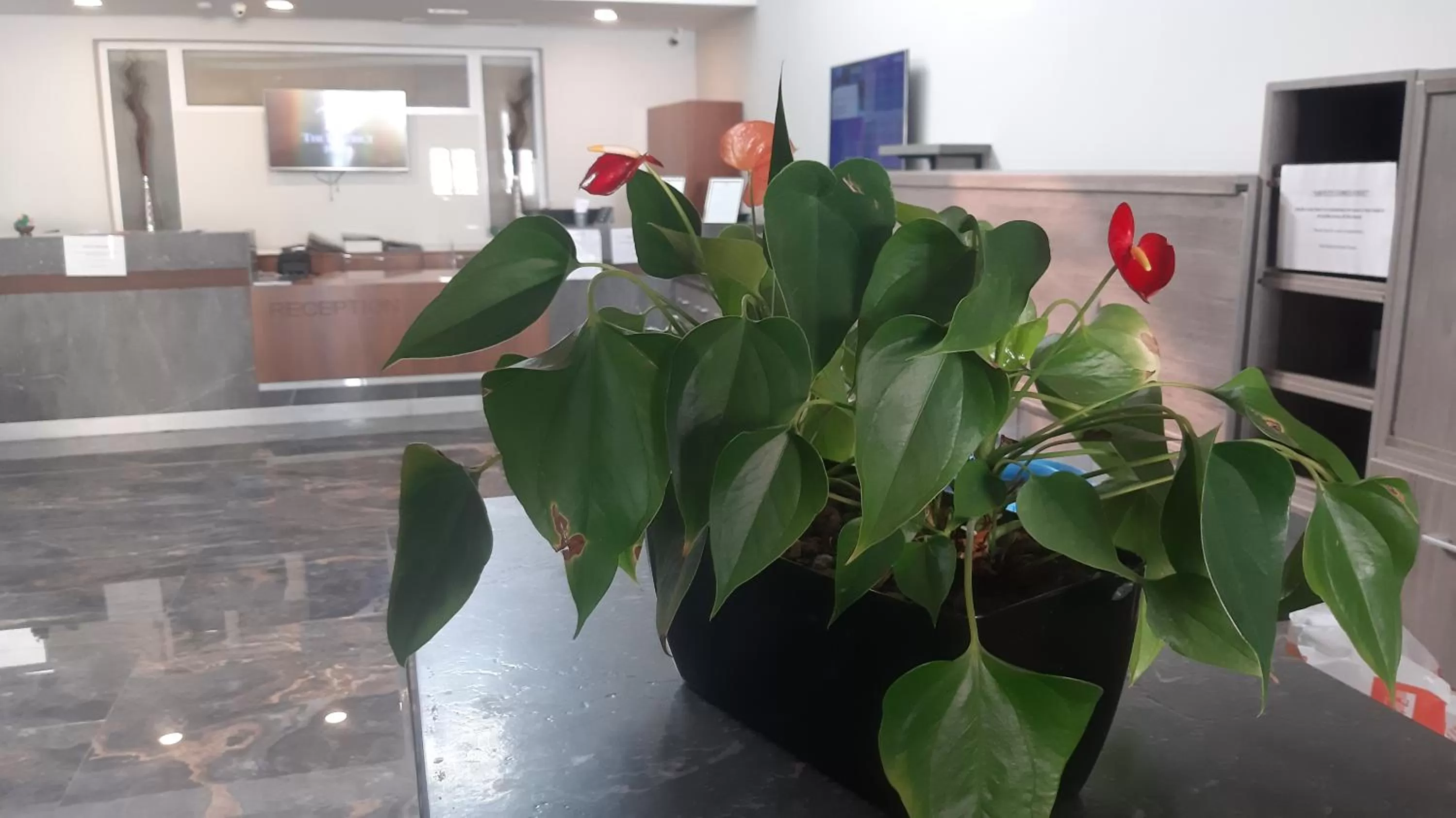 Lobby or reception in The District Hotel