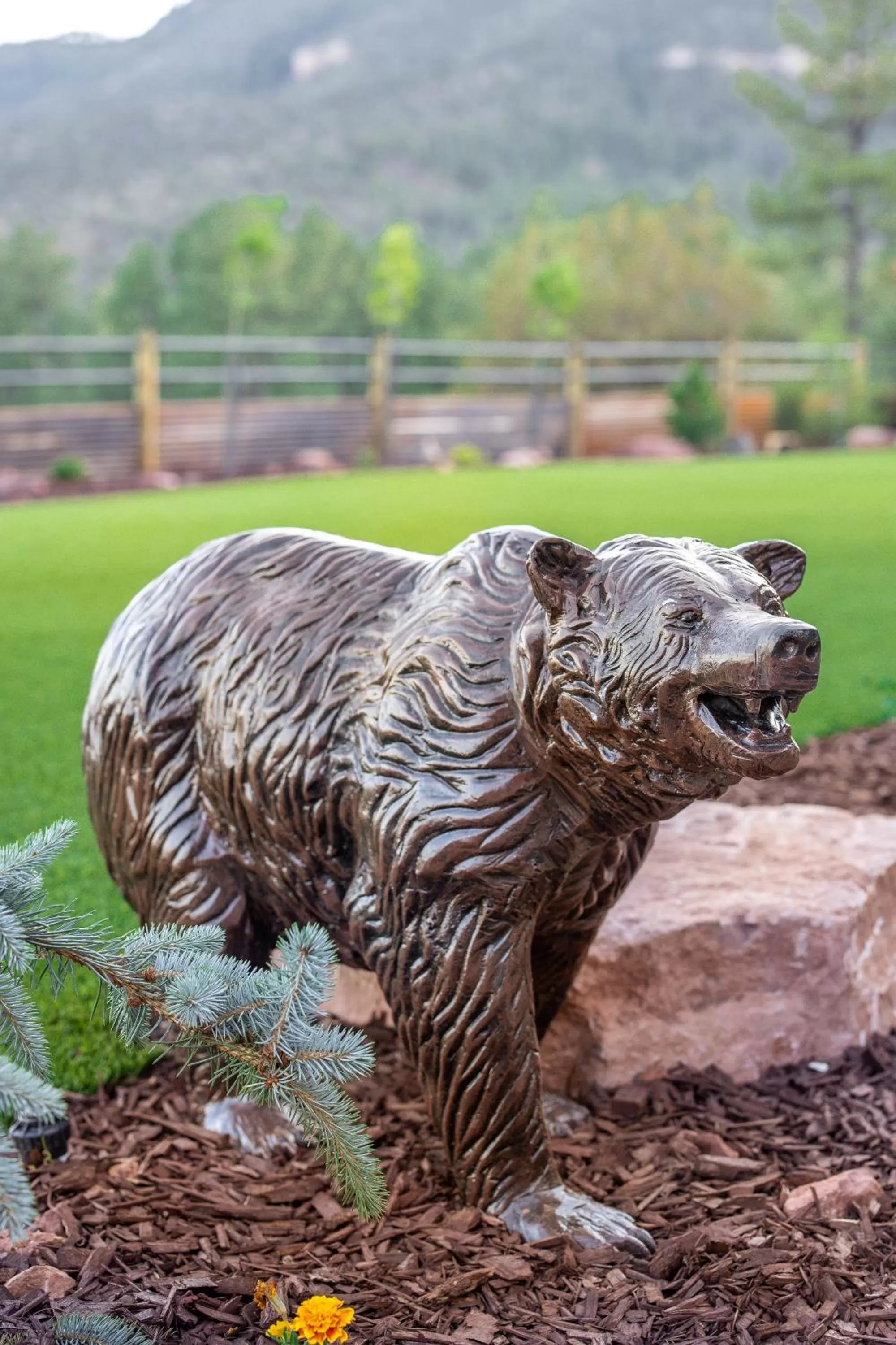 Garden, Other Animals in Lodge at 5600
