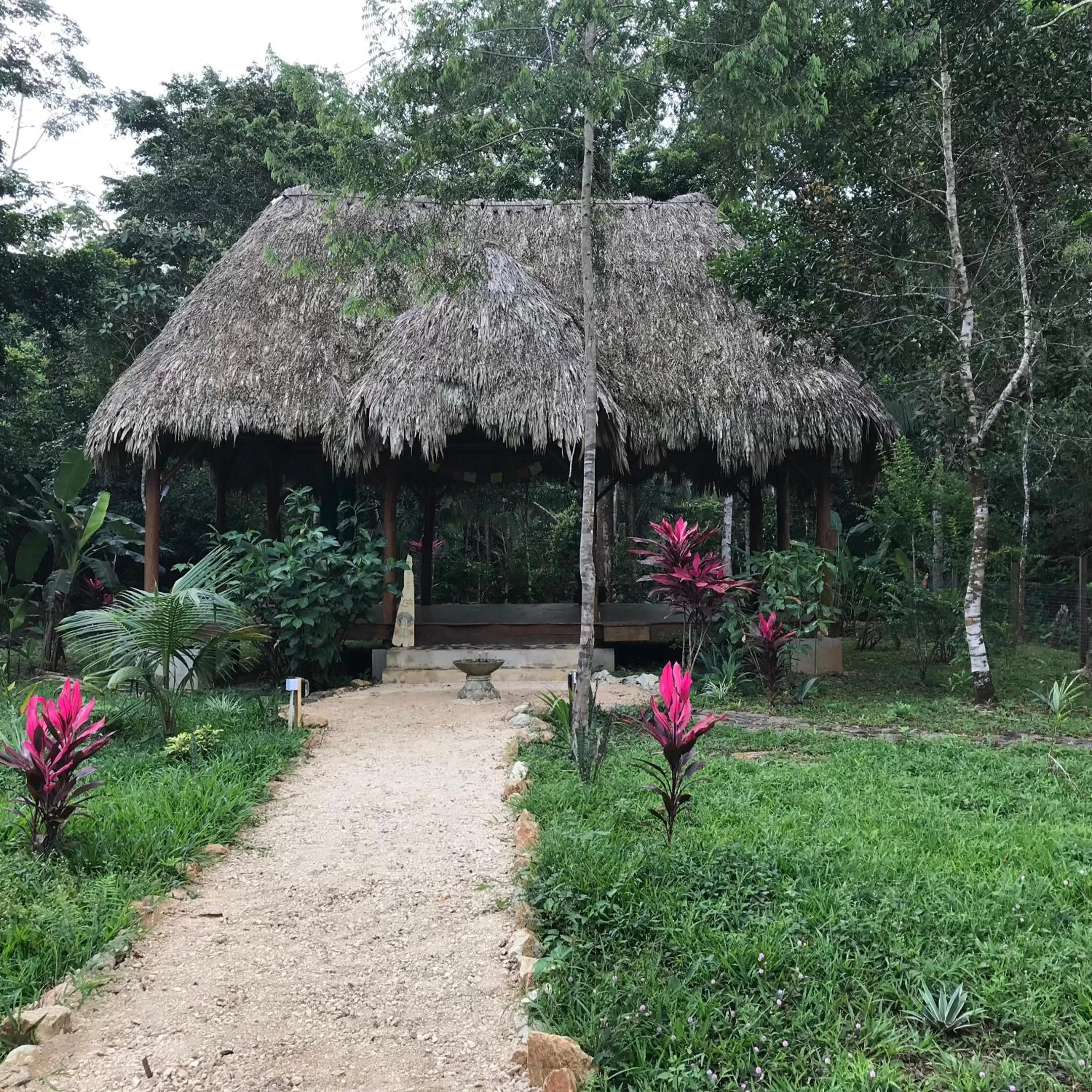 Animals in Sattva Land