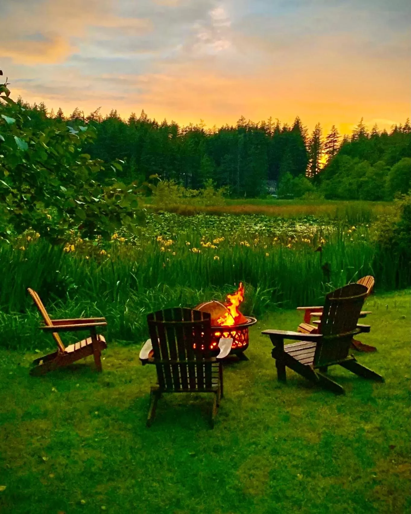 View (from property/room) in Otter's Pond Bed and Breakfast