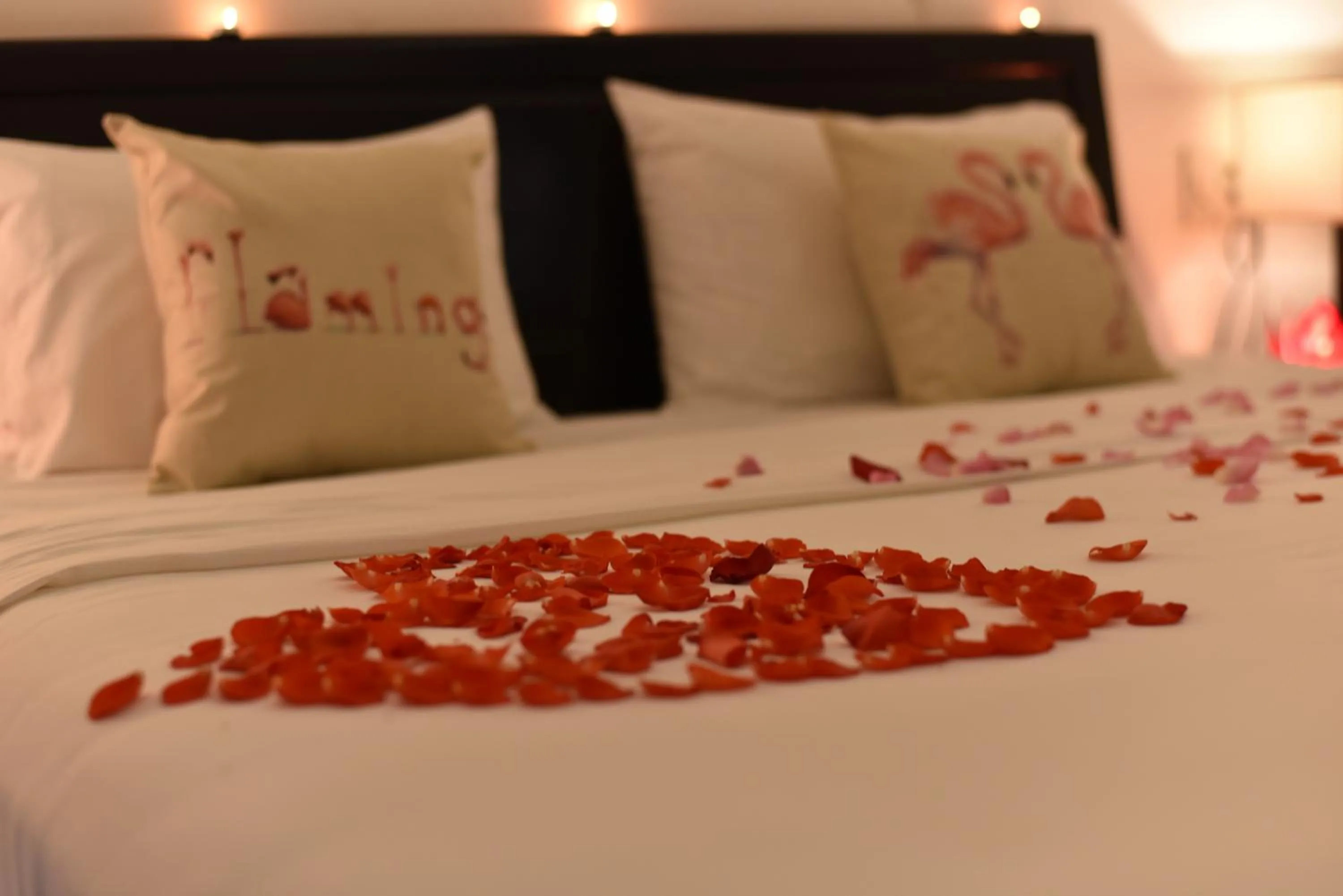 Bed in Flamingo Villa Homestay - Big Rooms with Balcony - Close to Hoi An Old Town 200m & Temple Bridge - Large Outside Pool for Sun Bathing