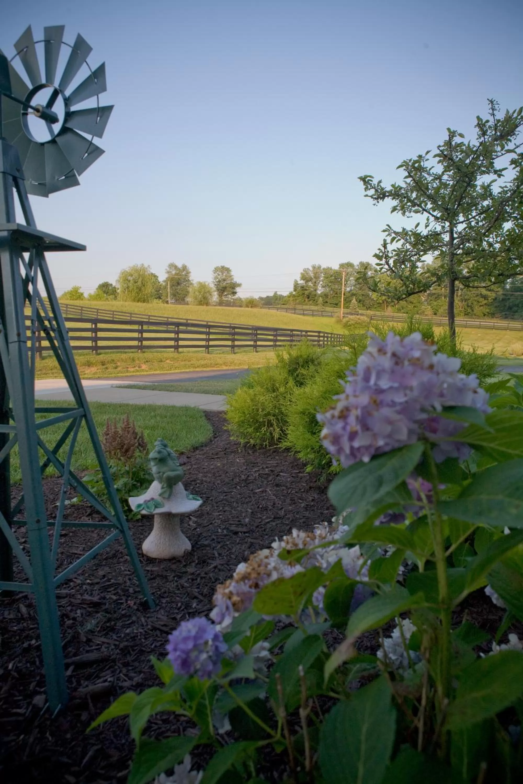 Natural landscape in Pillow and Paddock B&B