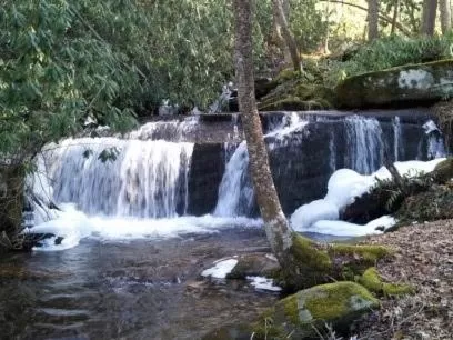 Garden in Creekside Paradise Bed and Breakfast
