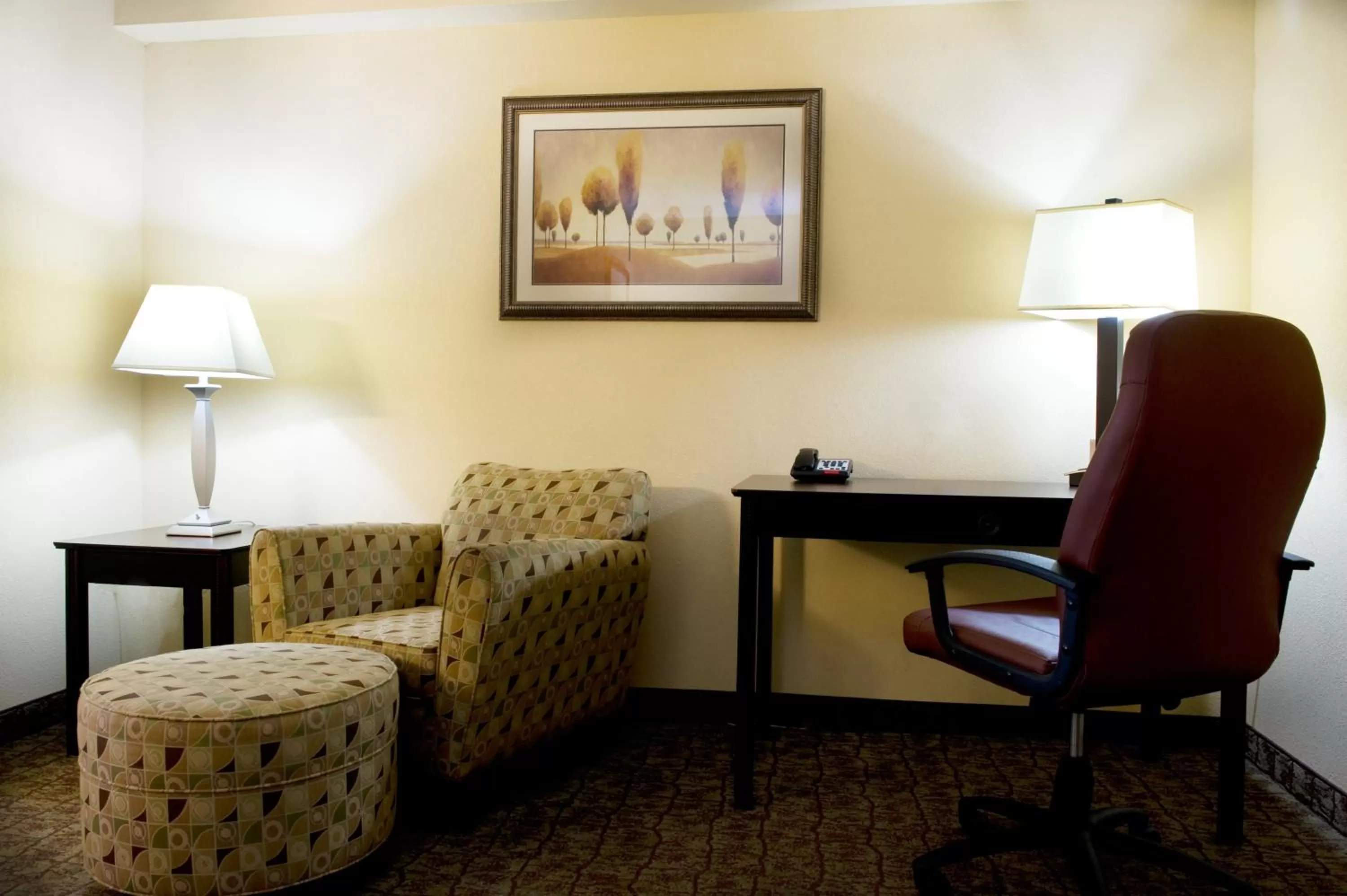 Photo of the whole room in Holiday Inn Express Hotel & Suites Dallas Fort Worth Airport South by IHG