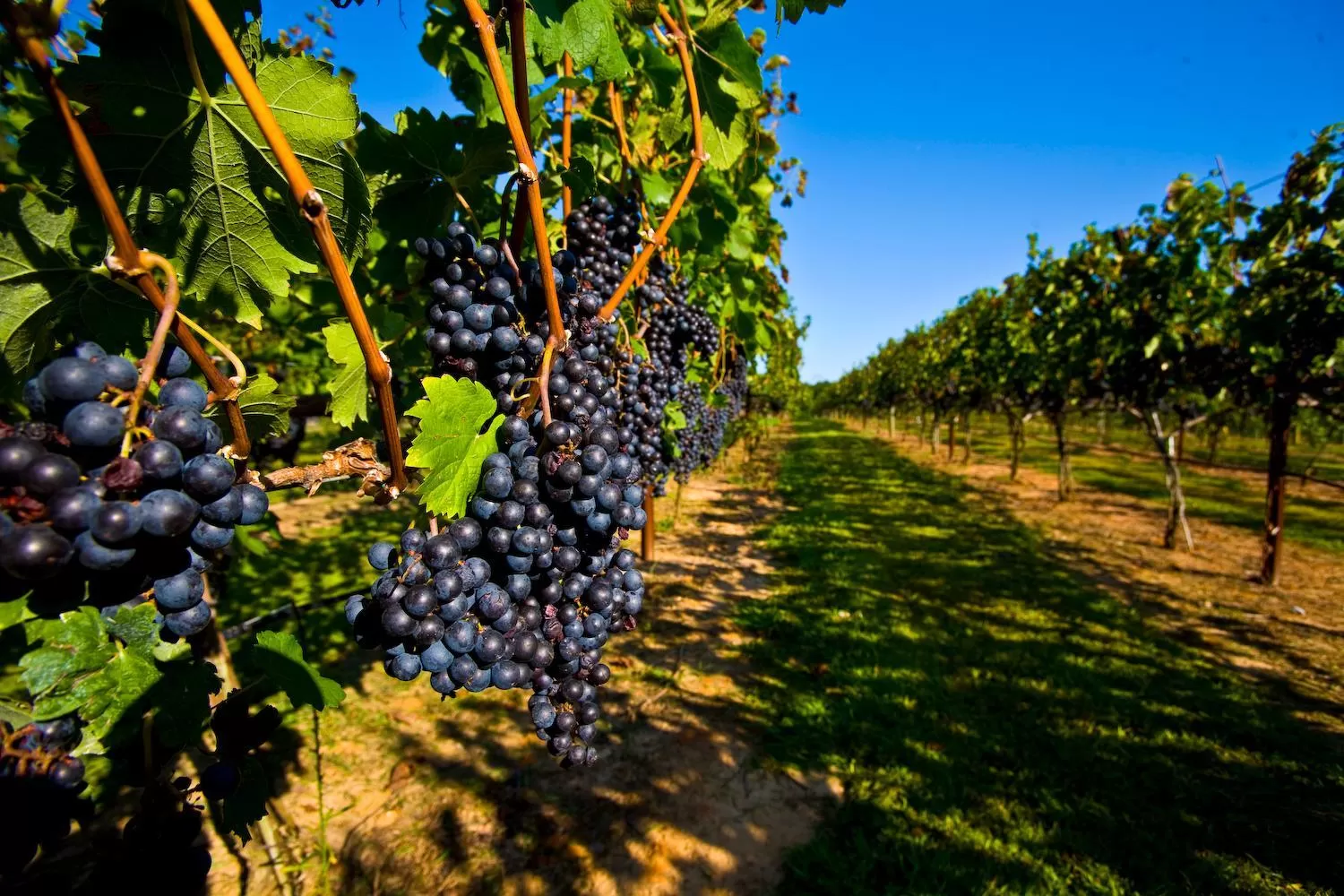 Nearby landmark in Cumberland Motor Inn