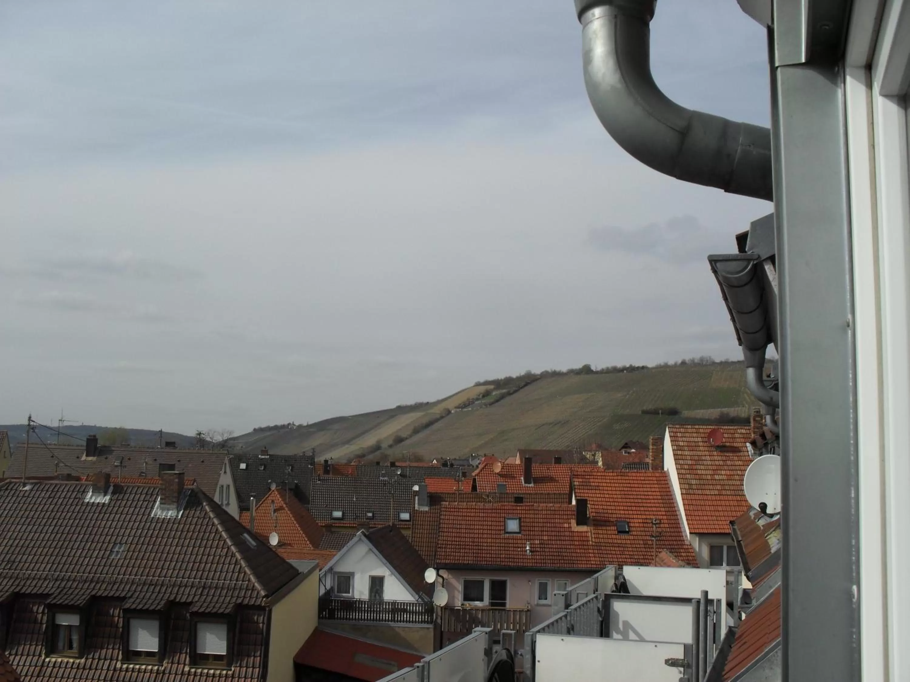 View (from property/room) in Hotel Demling