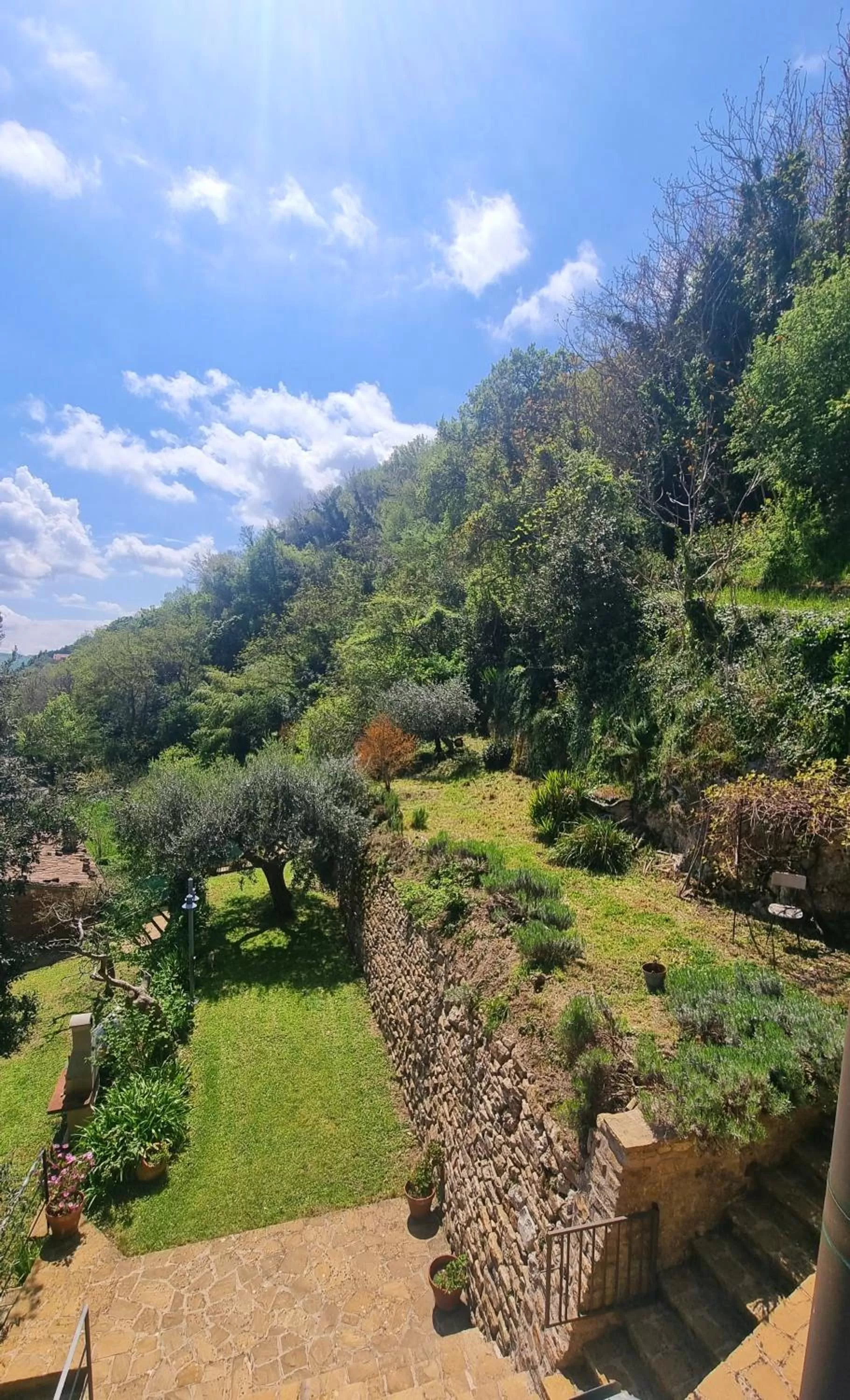 Garden view in Fontecorona Bed and Breakfast