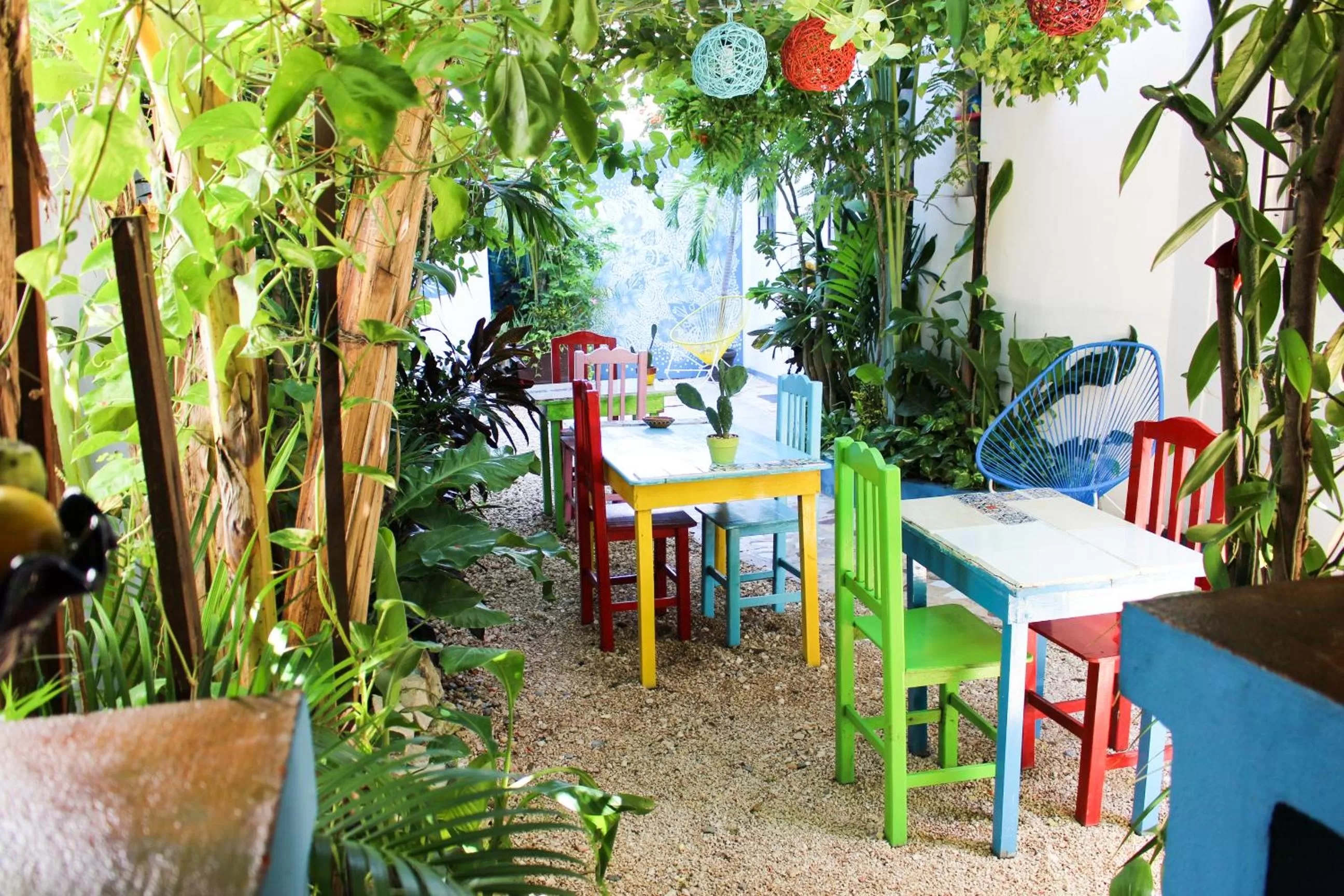 Garden, Restaurant/Places to Eat in Vainilla Bed and Breakfast Mexico