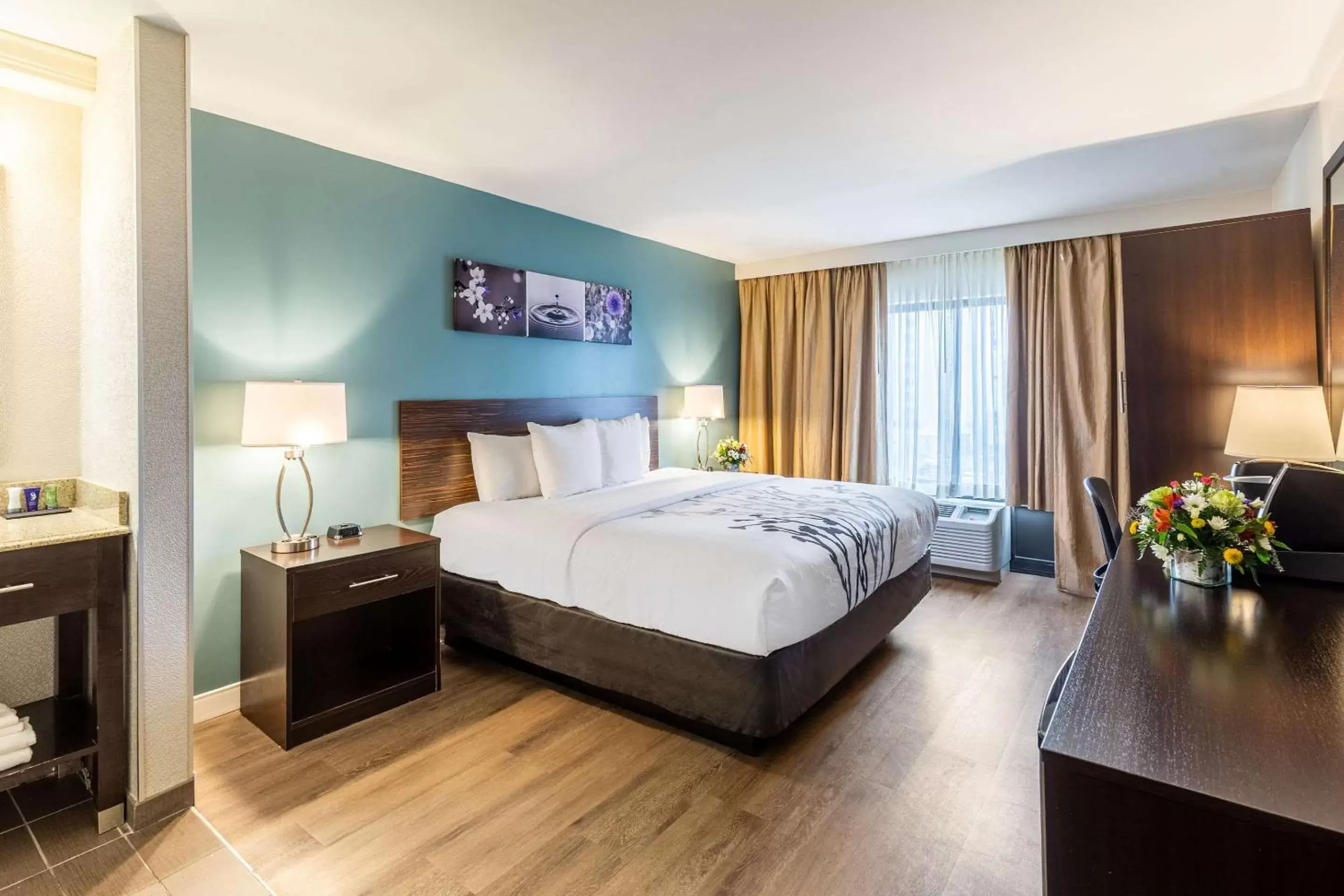 Standard King Room with Boulevard View - Non-Smoking in Sleep Inn on the Beach Standard King Room with Boulevard View - Non-Smoking in Sleep Inn on the Beach