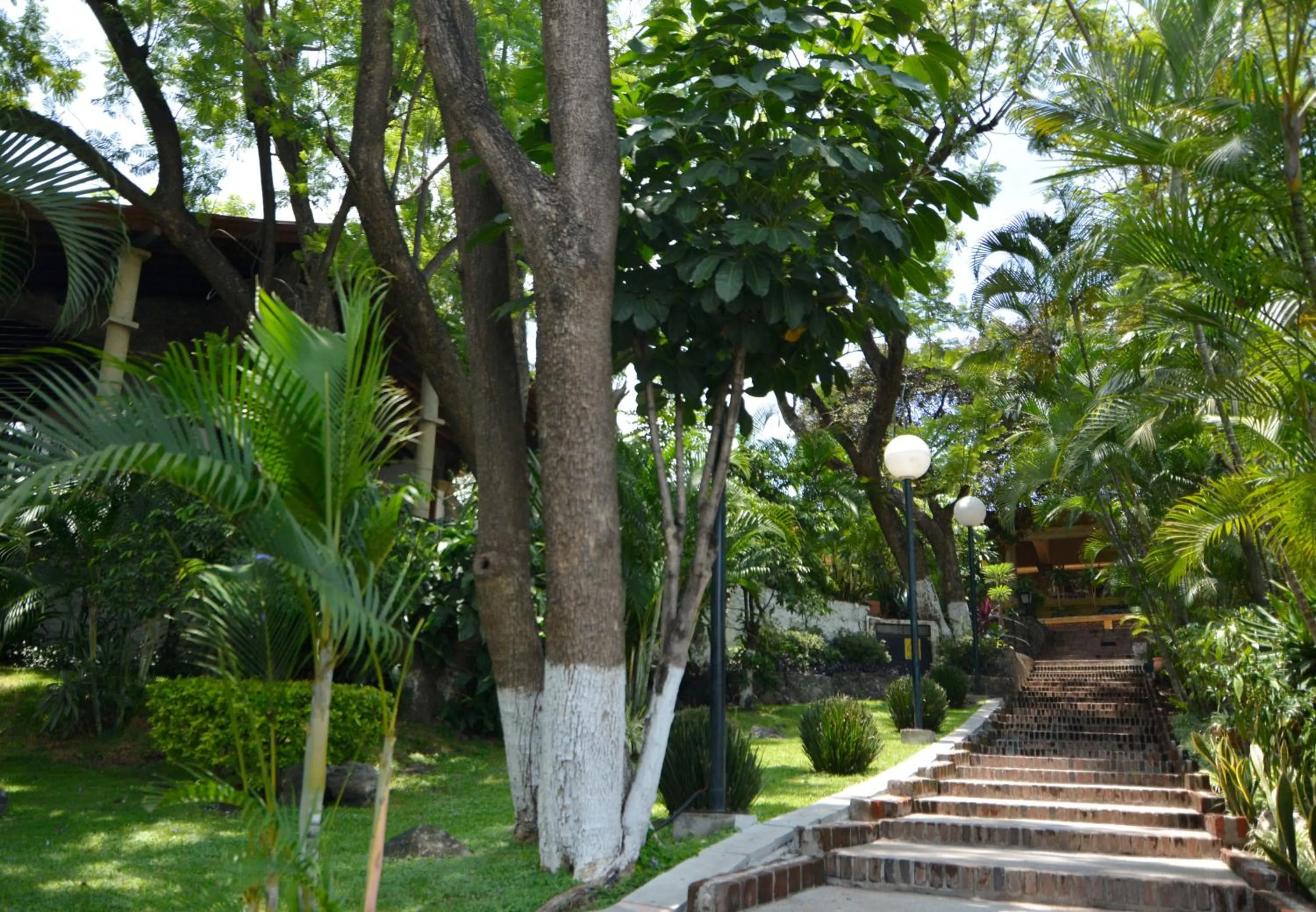 Garden in Hotel Coral Cuernavaca