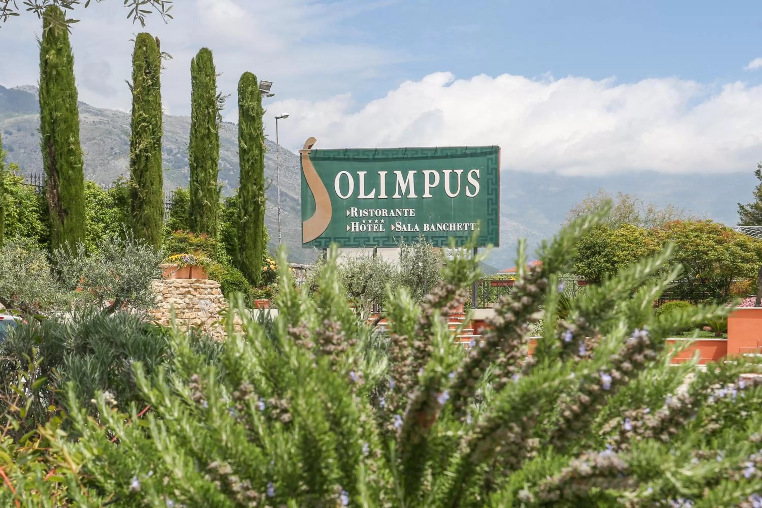 Decorative detail in Olimpus