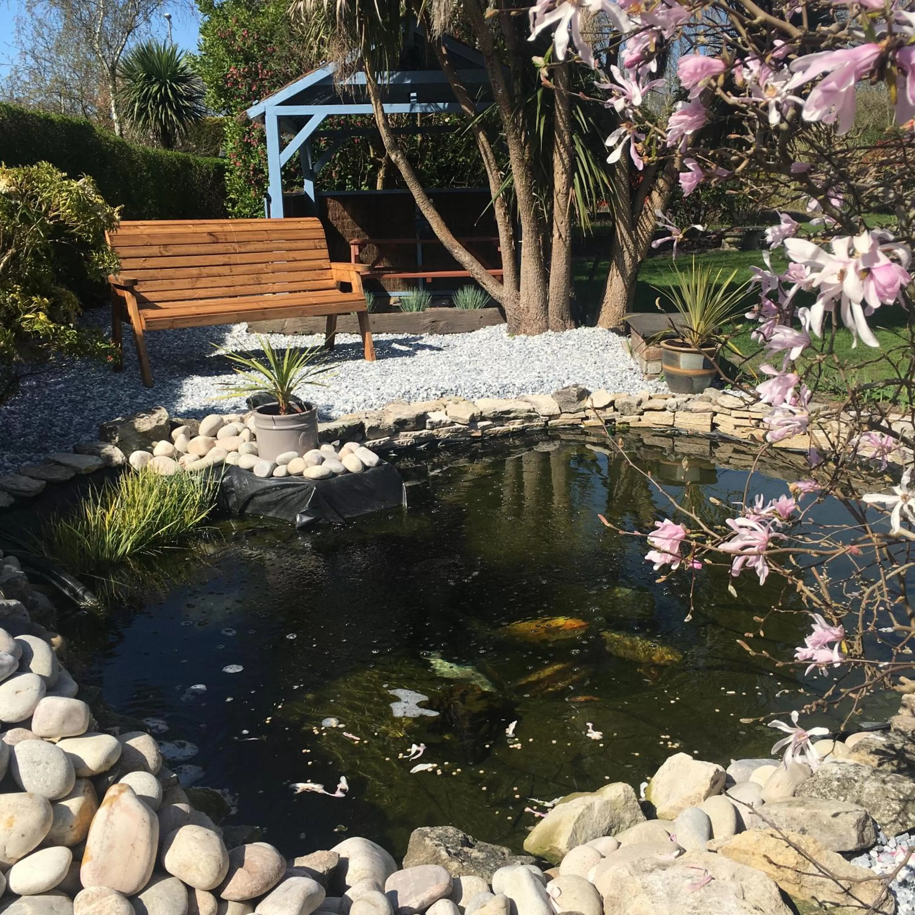 Garden view in Spurwing Guest House