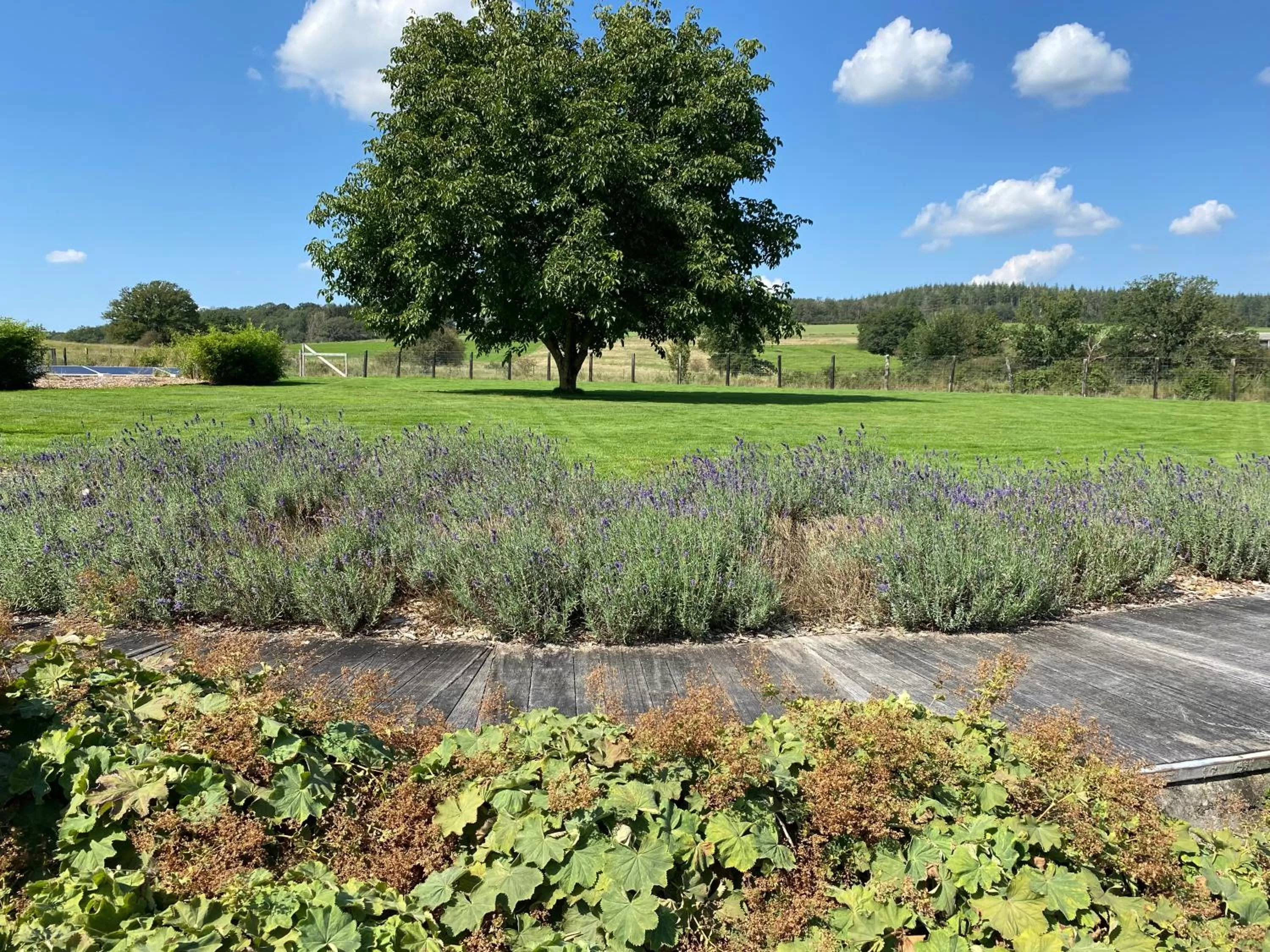 Garden view in B&B Le Briquemont