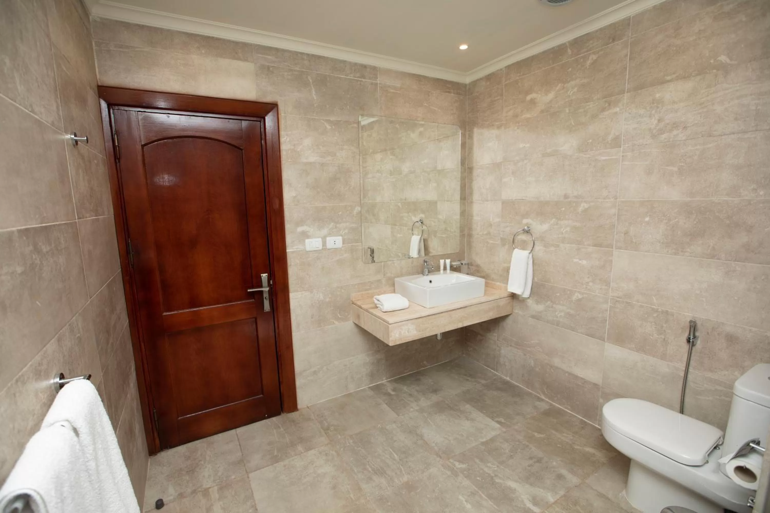 Toilet in AIFU Hotel El Montazah Alexandria