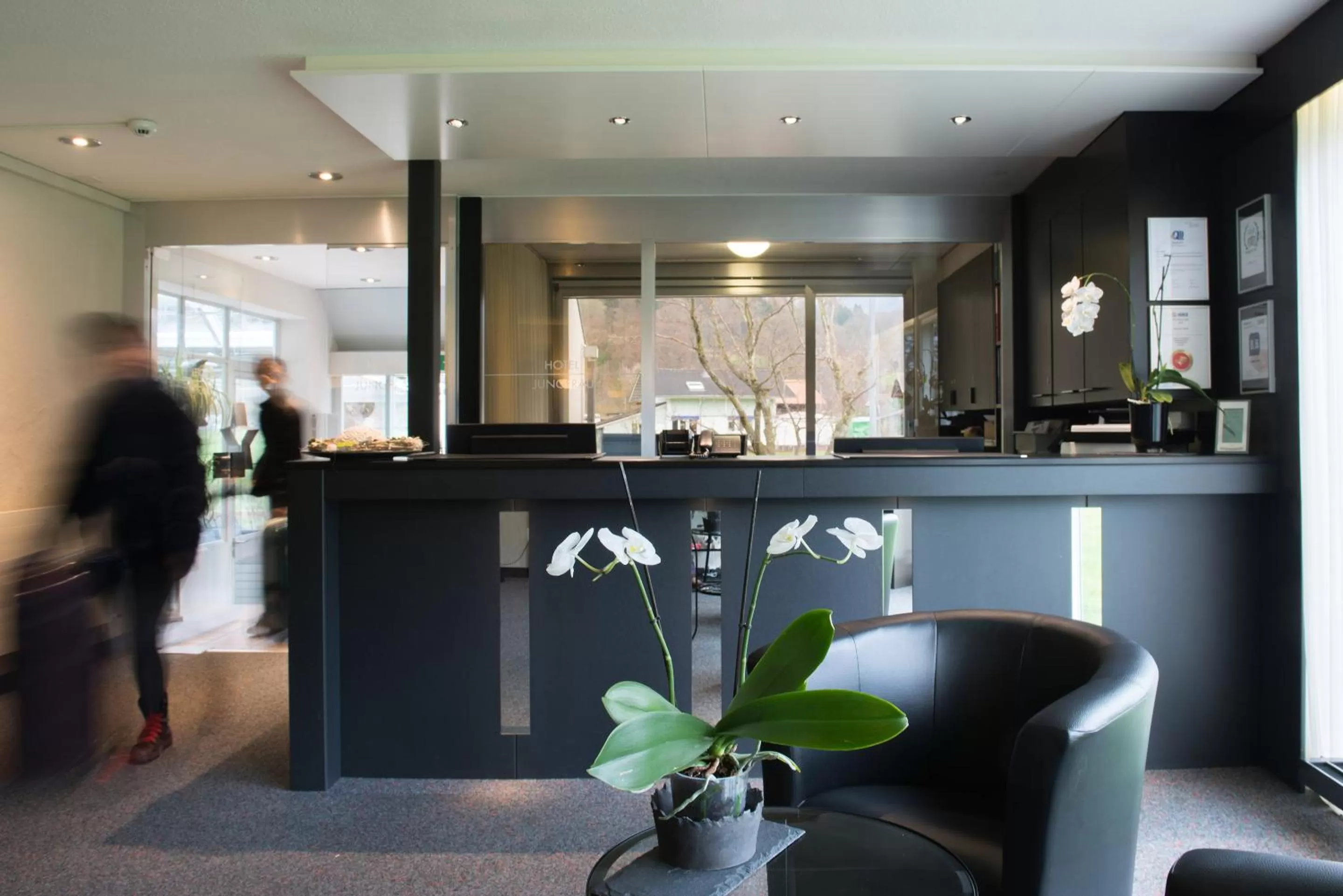 Lobby or reception in Jungfrau Hotel