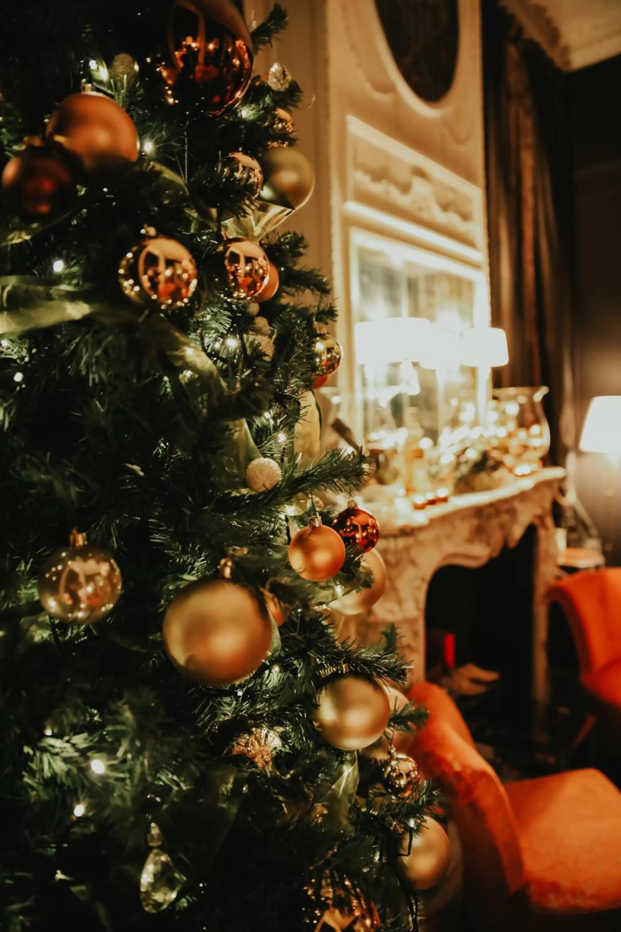 Winter, Restaurant/Places to Eat in B&B 't Kasteel & 't Koetshuys