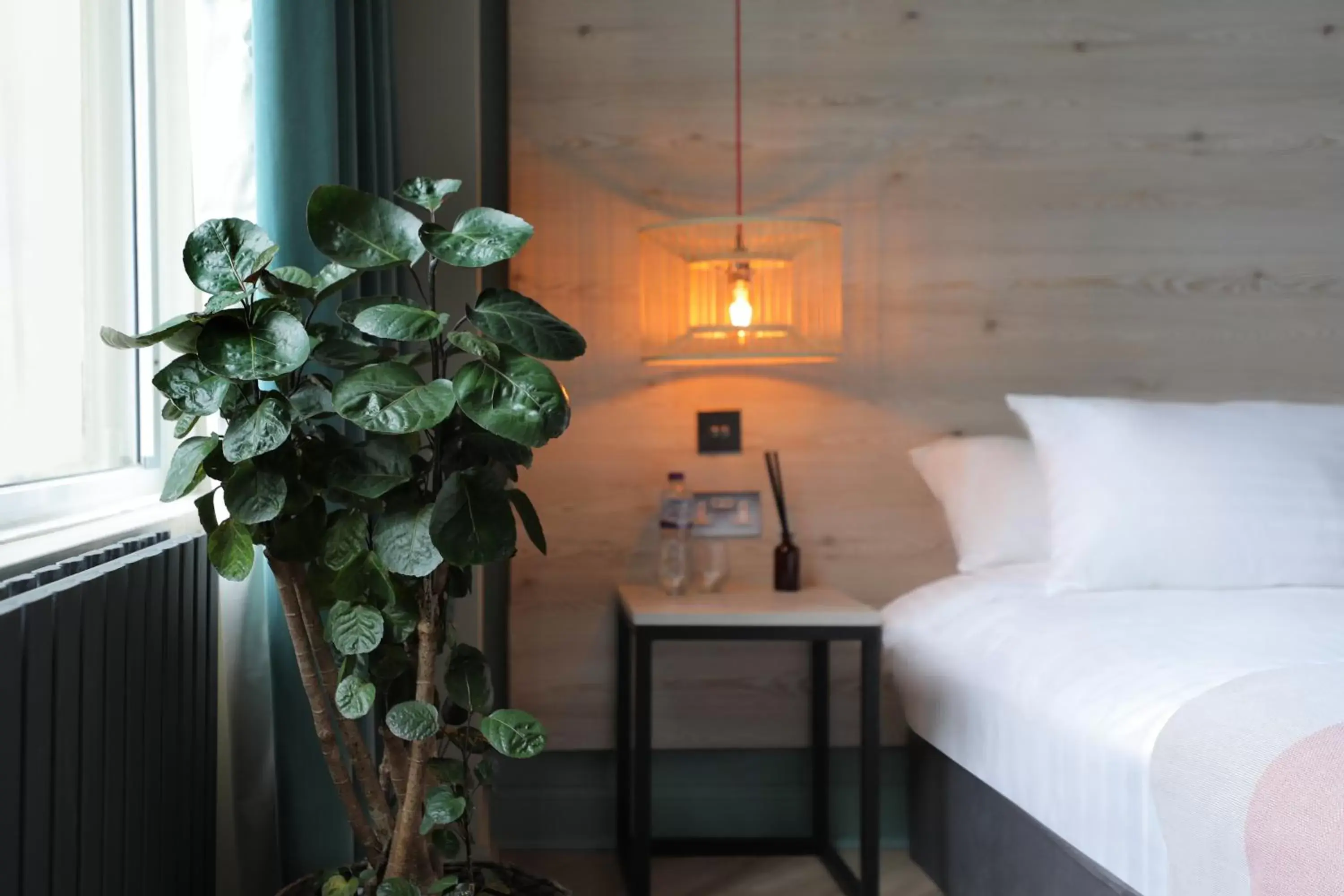 Private Double Bed - Shared Facilities in Revolver Private Double Bed - Shared Facilities in Revolver