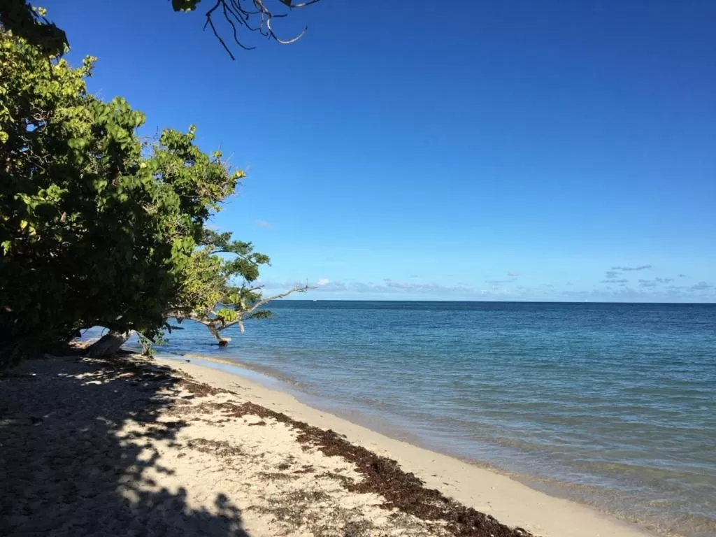 Natural landscape, Beach in Hôtel La Christophine