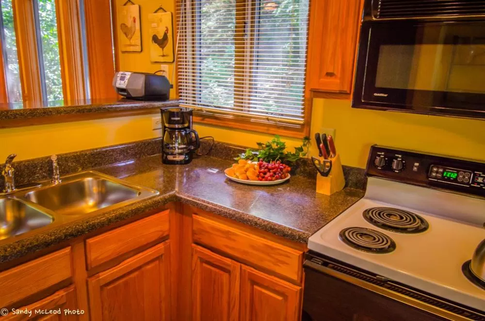 Kitchen or kitchenette in Asheville Cabins of Willow Winds