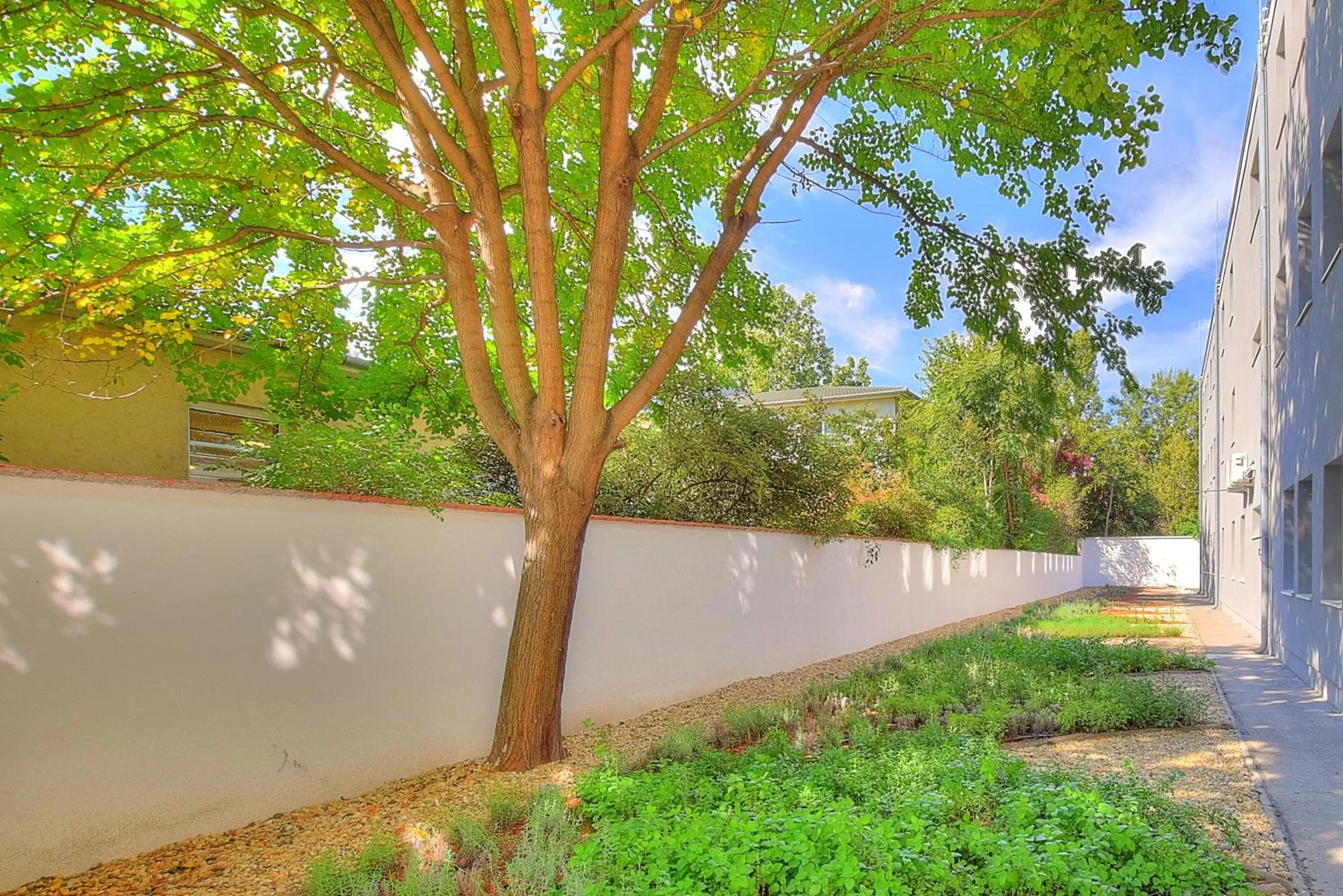 Garden in Anna Hotel