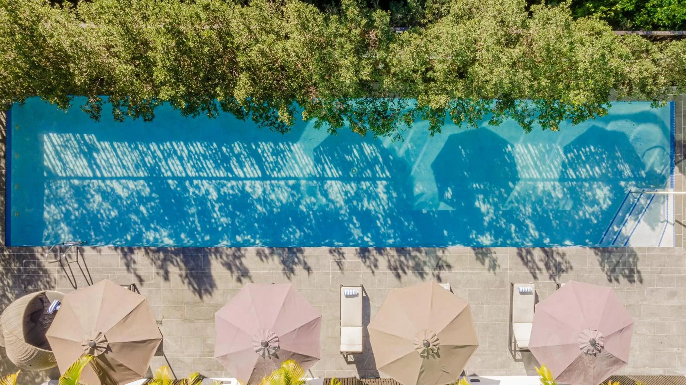 Swimming pool in Novotel Brisbane South Bank