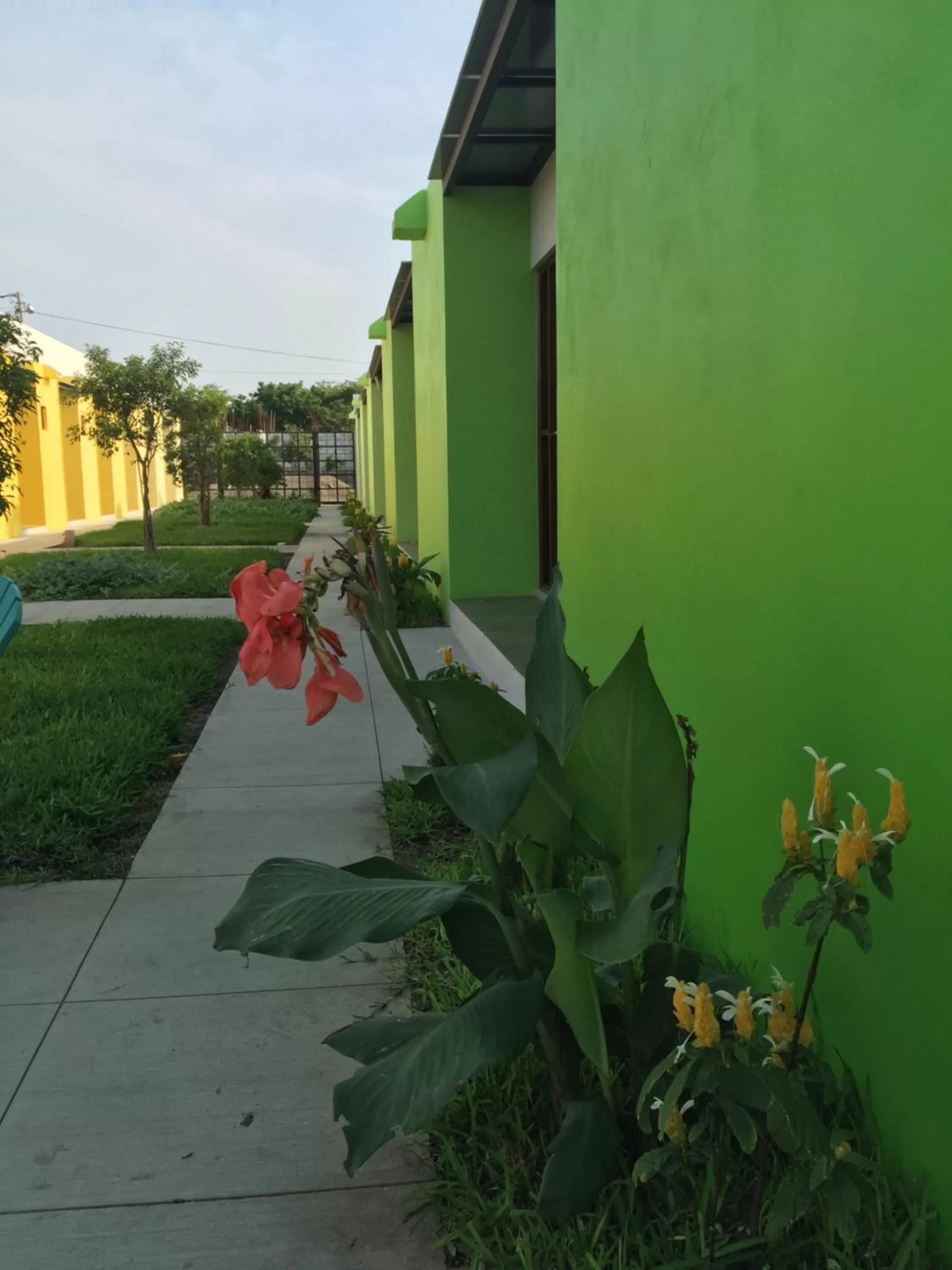 Facade/entrance, Garden in Airport X Managua