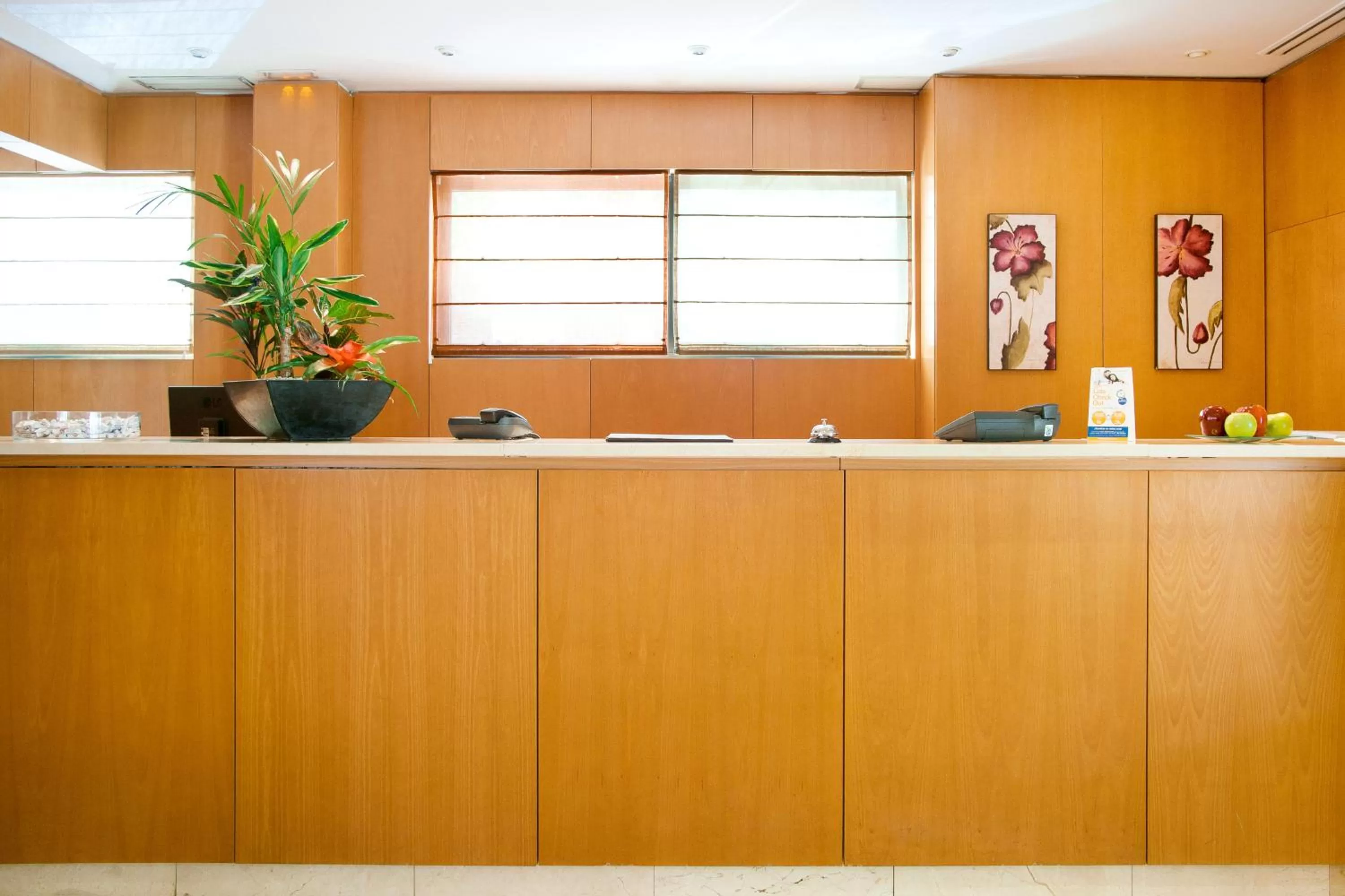 Area and facilities in Globales de los Reyes