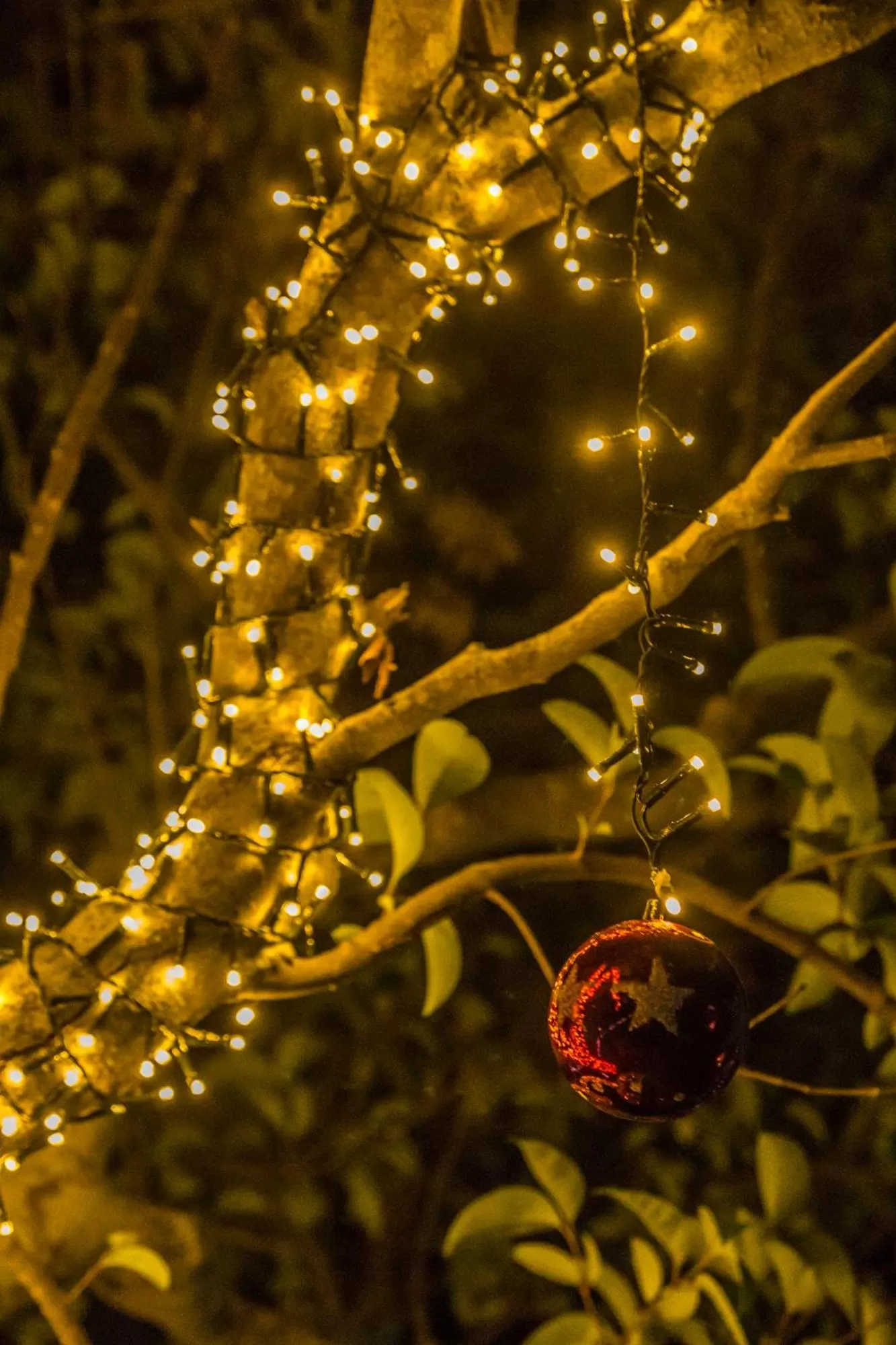 Facade/entrance in Trulli Donna Isabella