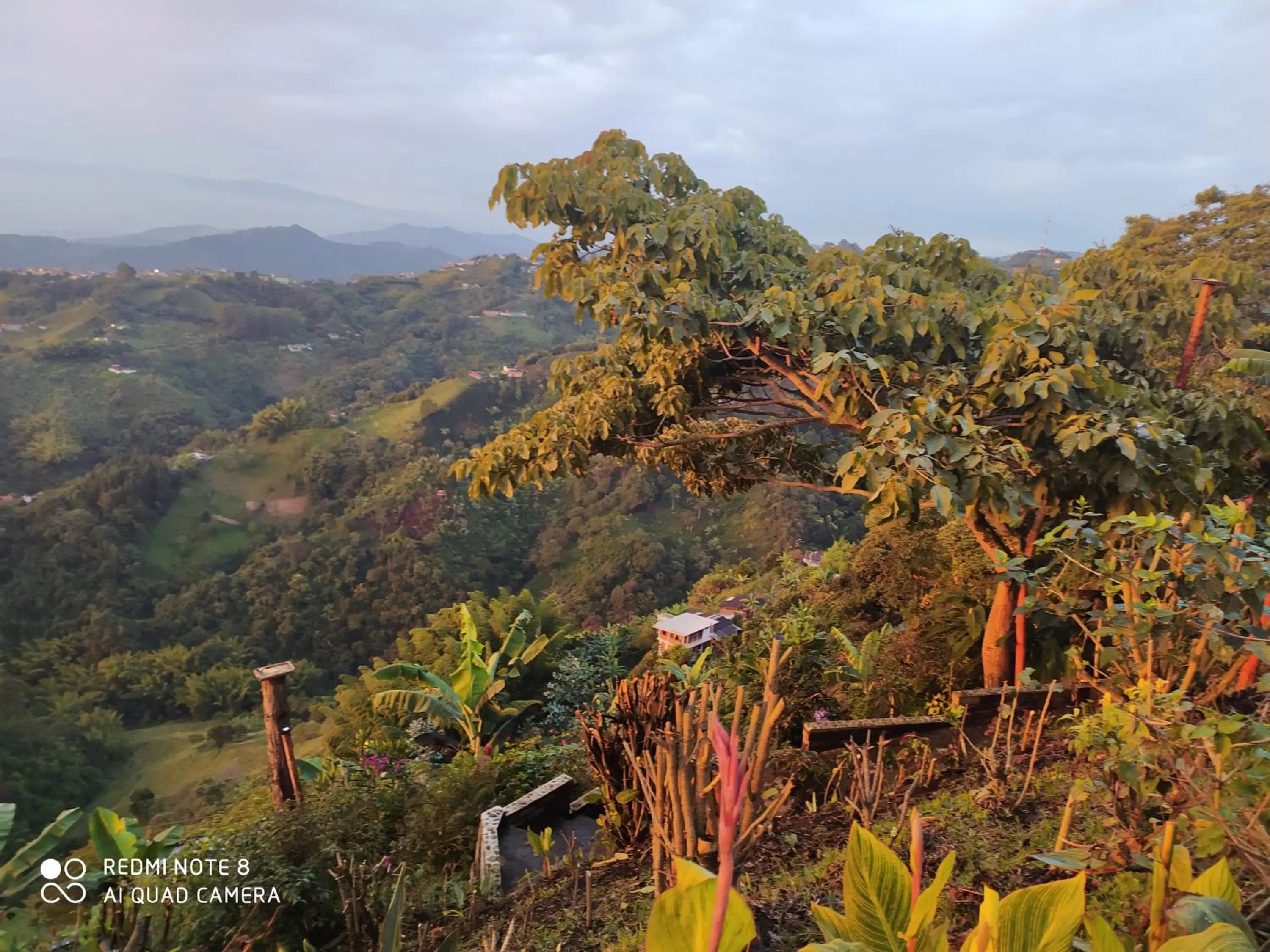Mirador Finca Morrogacho