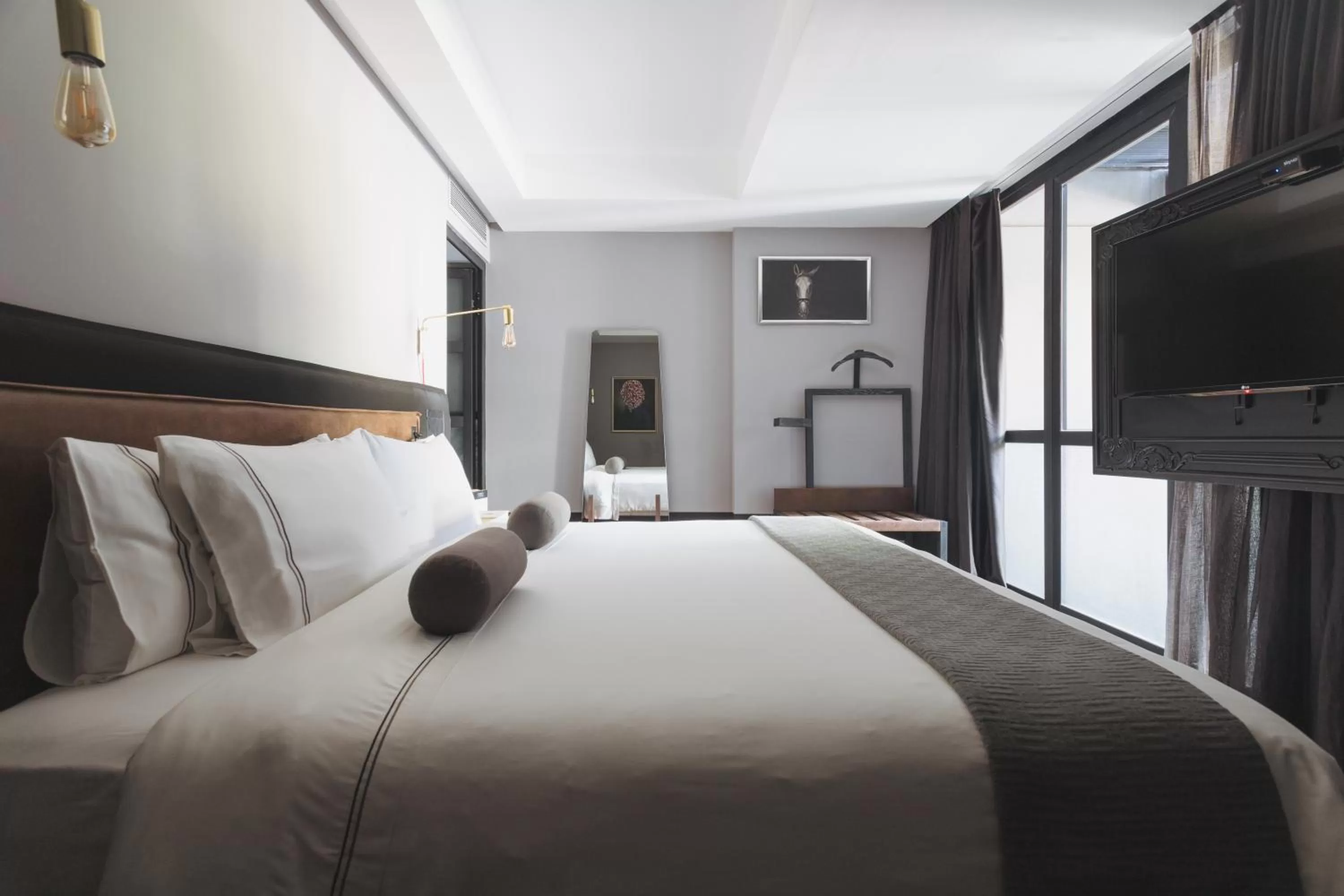 TV and multimedia, Bed in The Wild Oscar