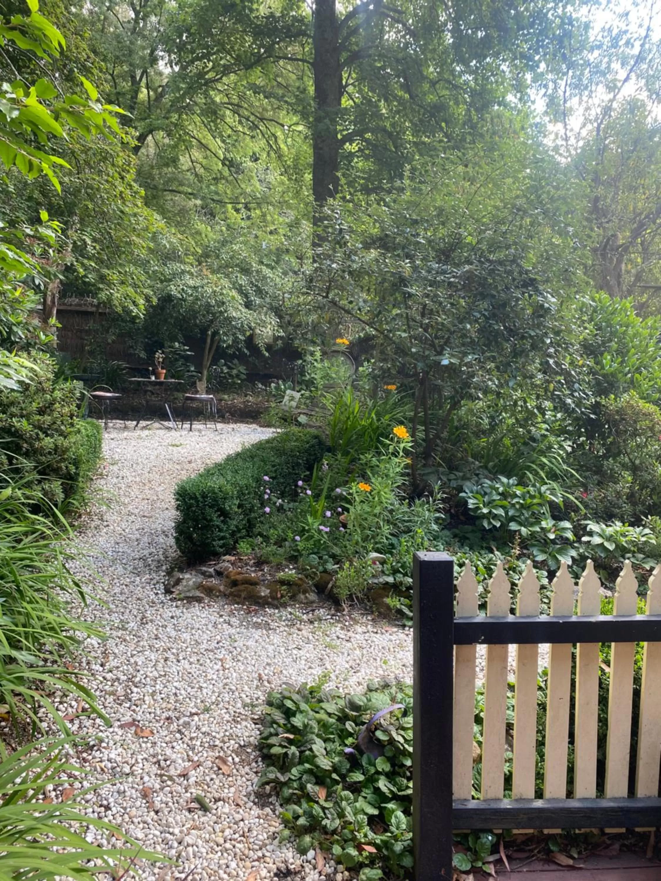 Garden in Cambridge Cottages