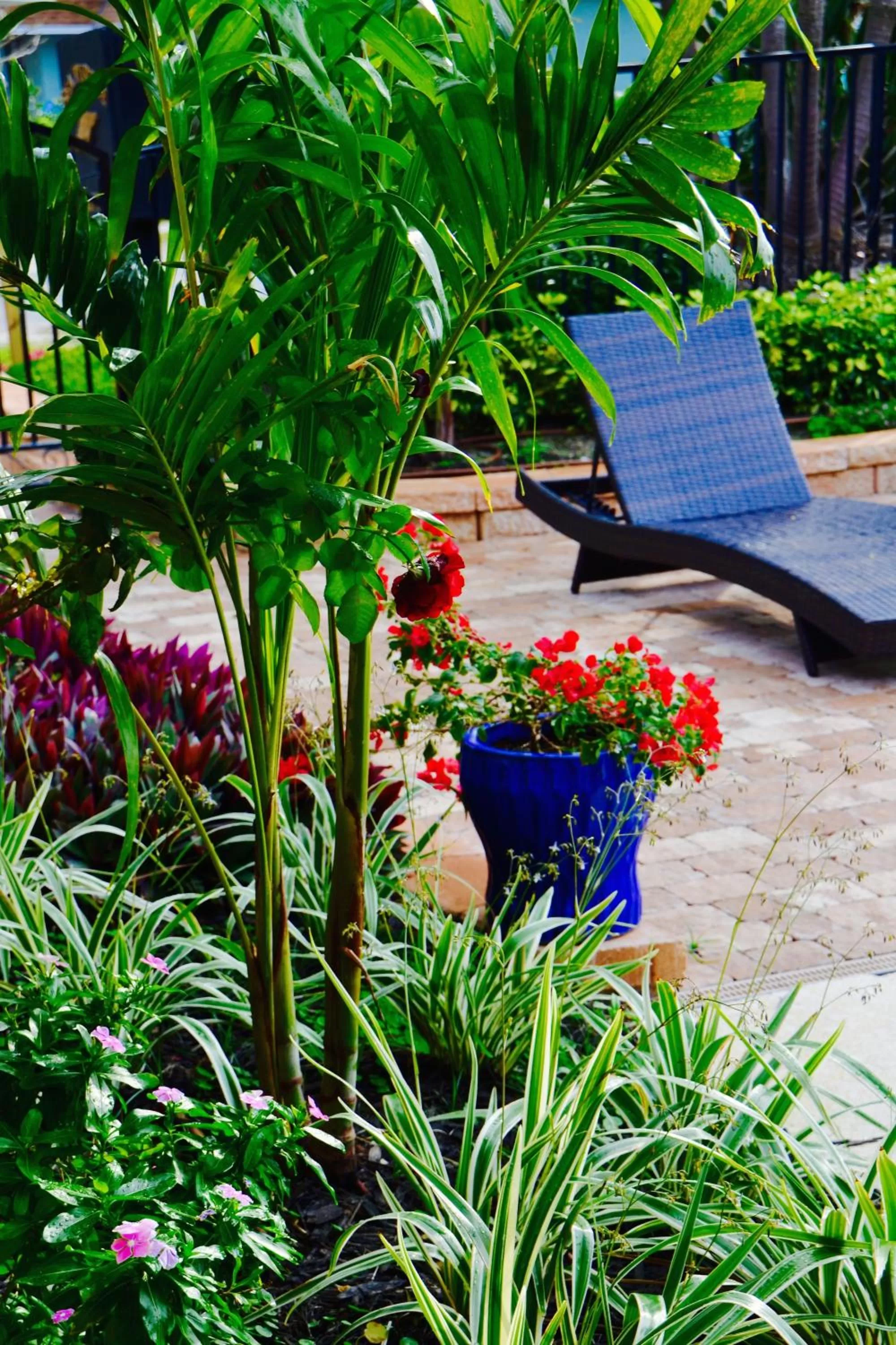 Patio in Sea Turtle Inn
