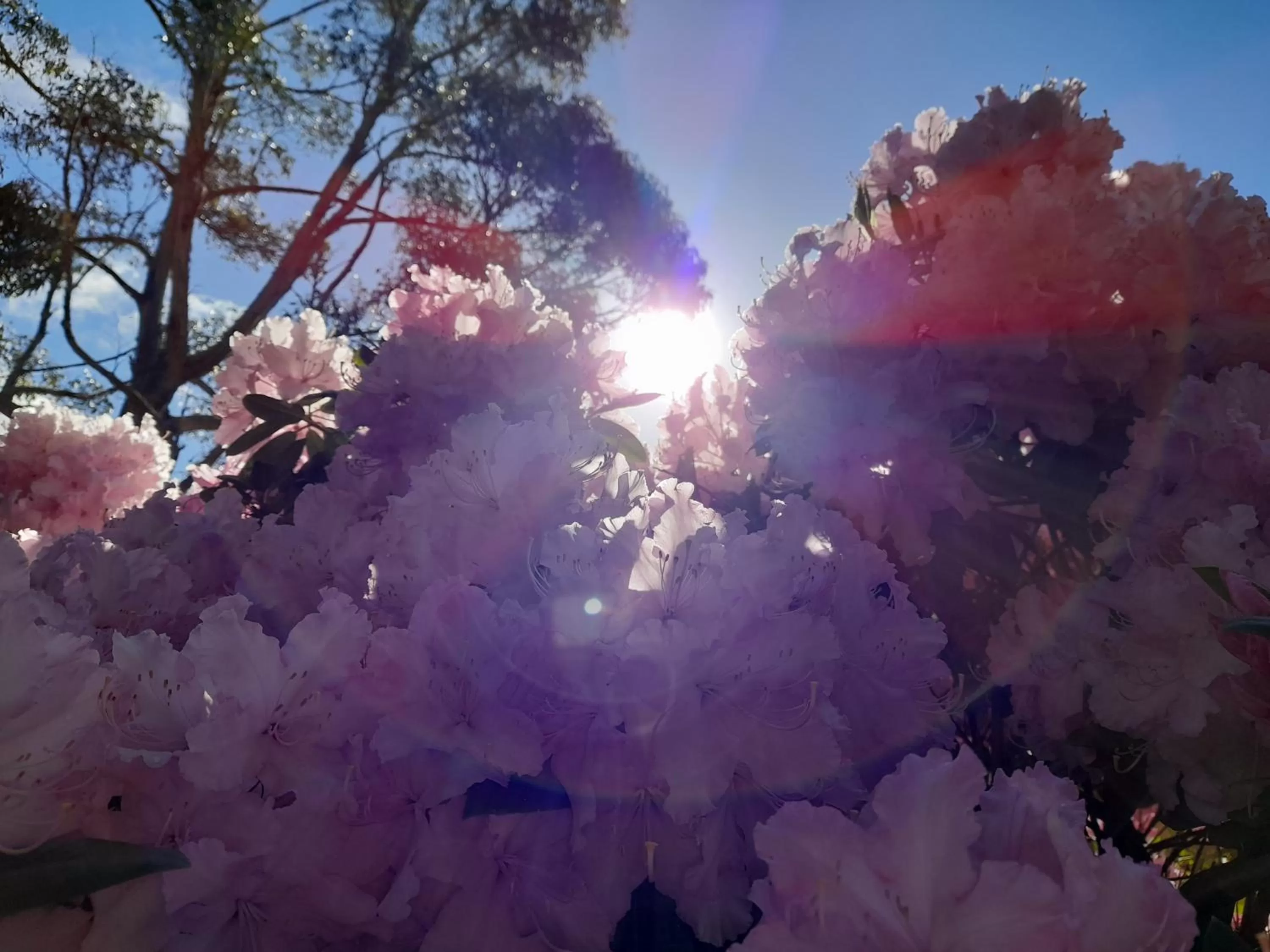 Hillside Bed and Breakfast