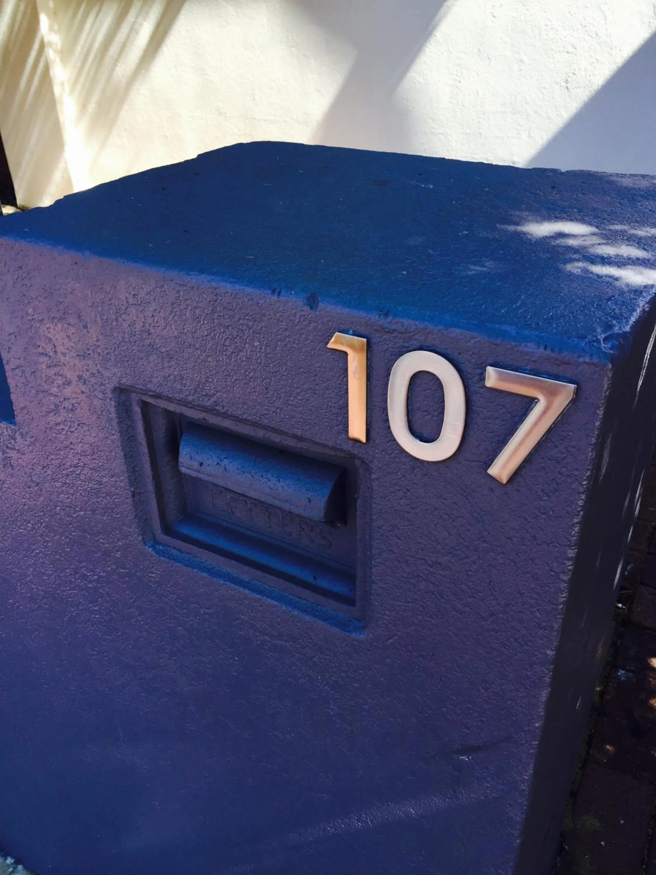 Decorative detail in The Shiralee