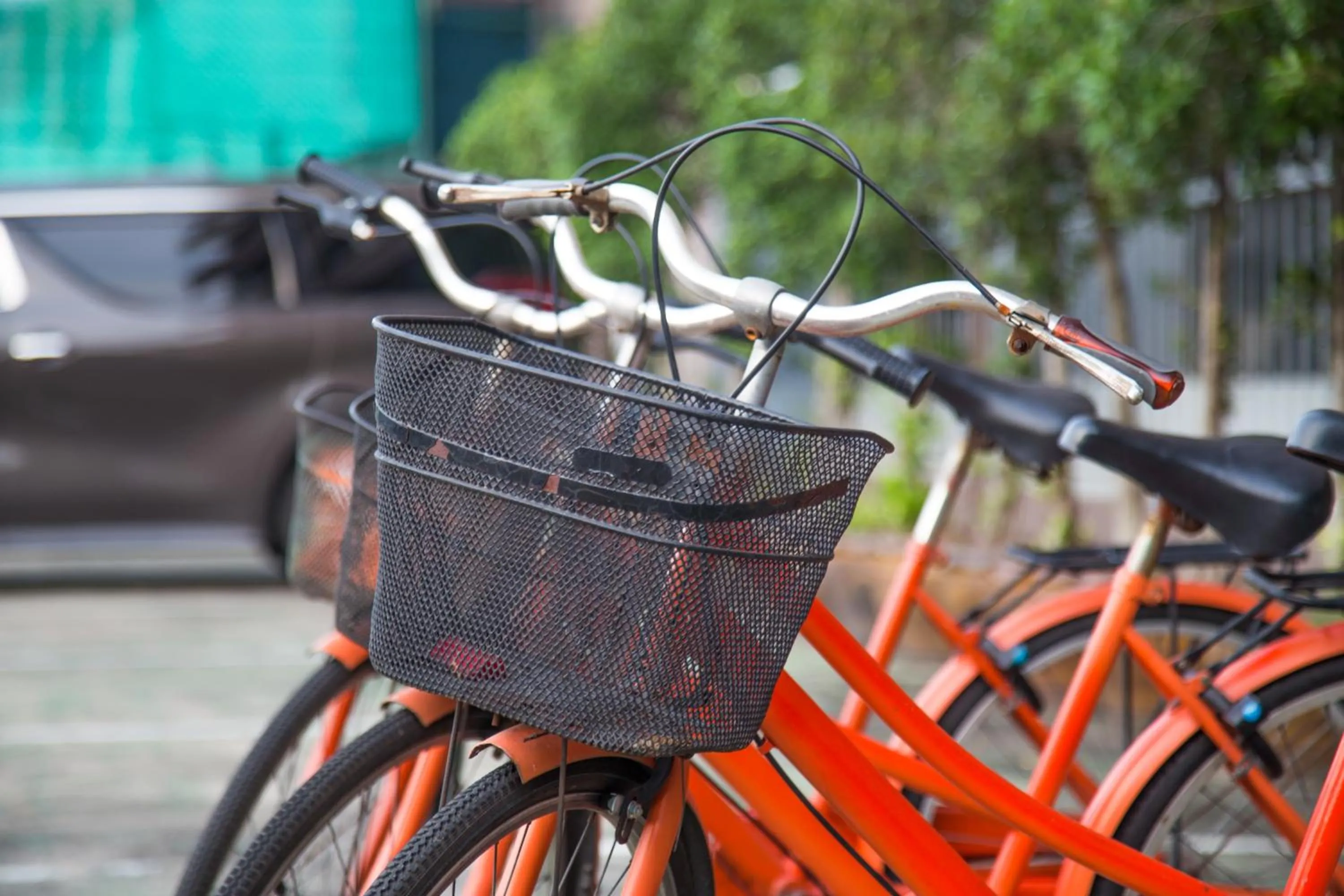 Activities in Sivalai Place