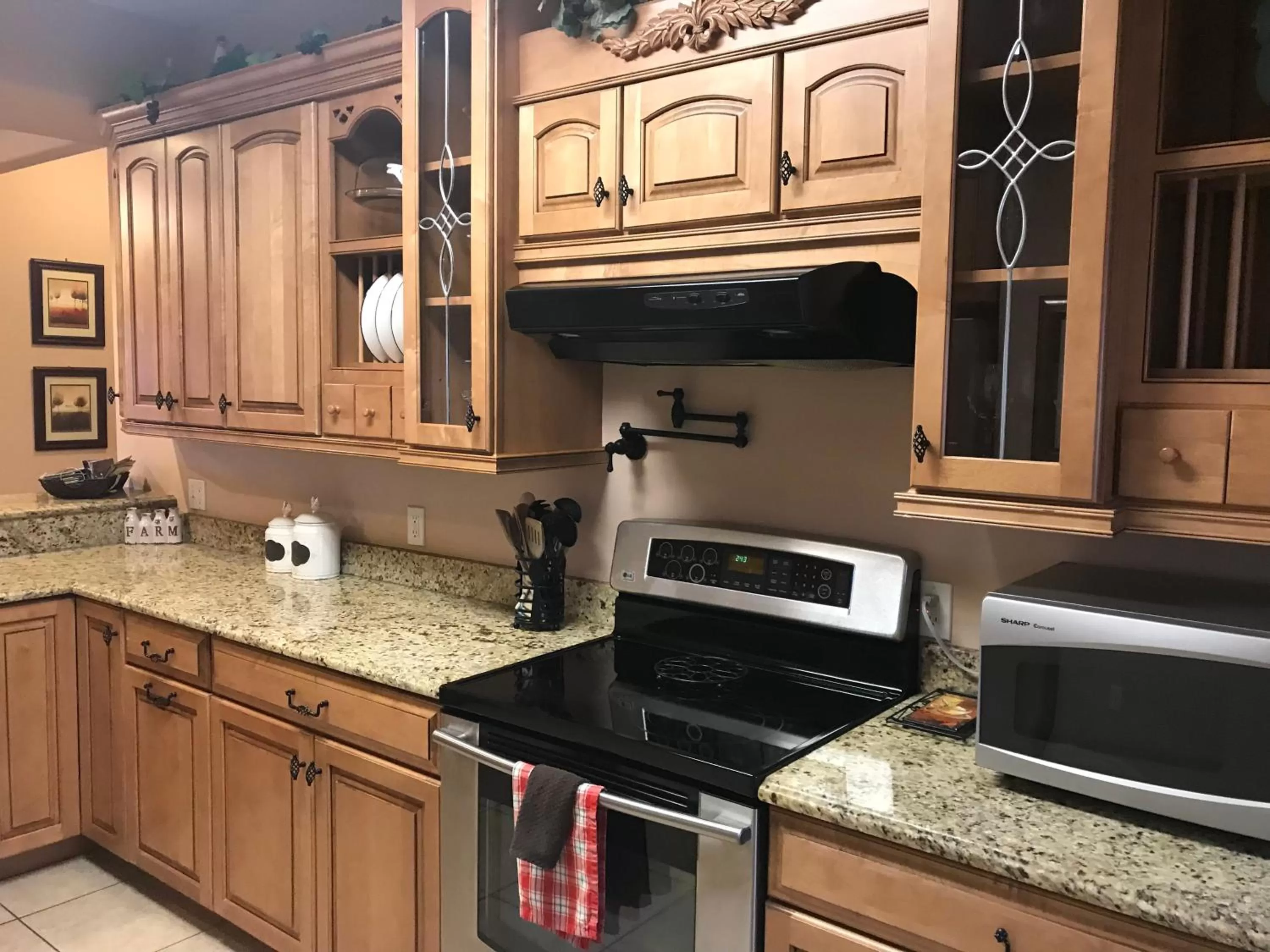 Kitchen or kitchenette in Rockwood Condos on Table Rock Lake With Boat Slips