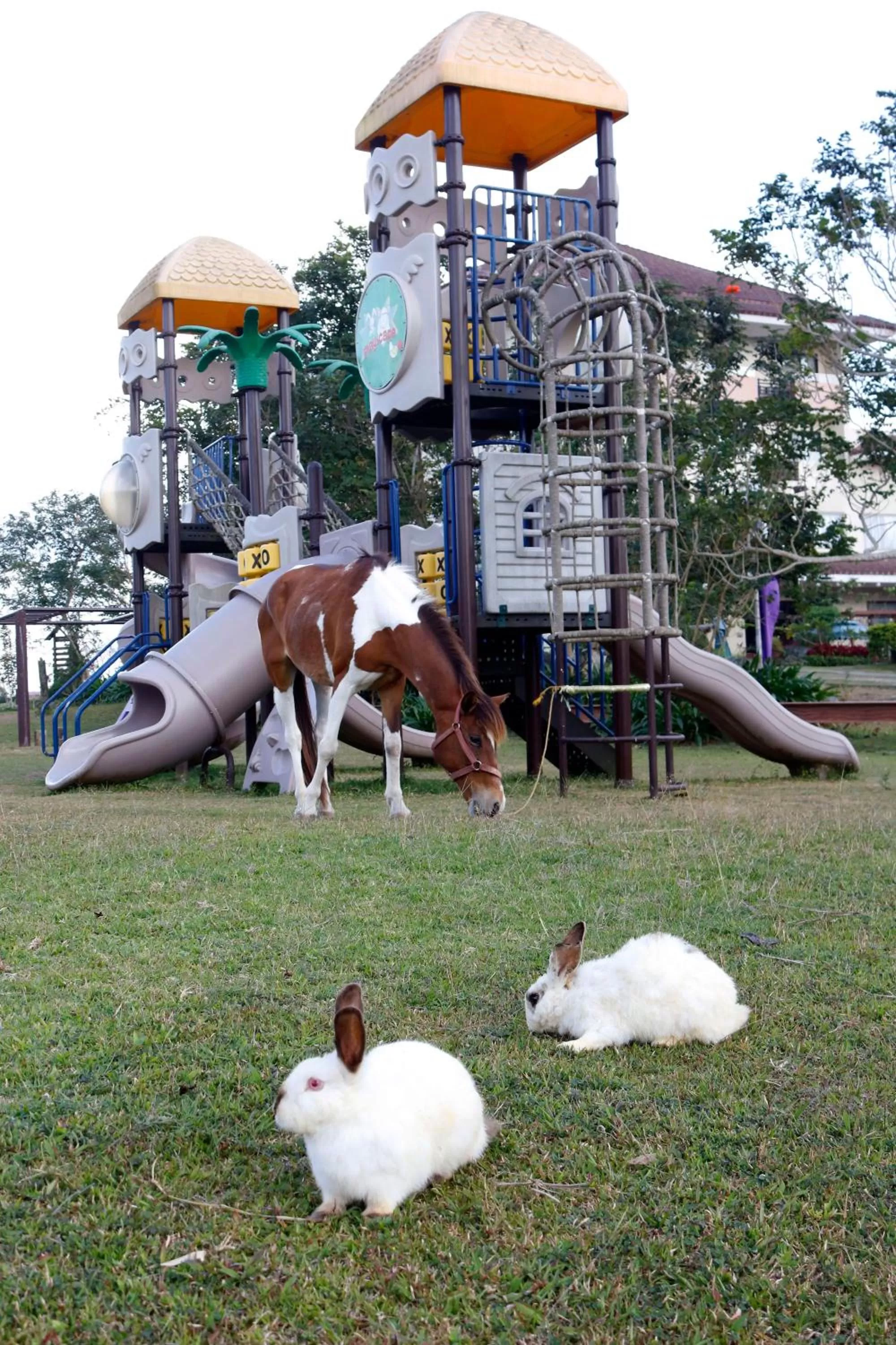Children play ground in Hotel Kimberly Tagaytay