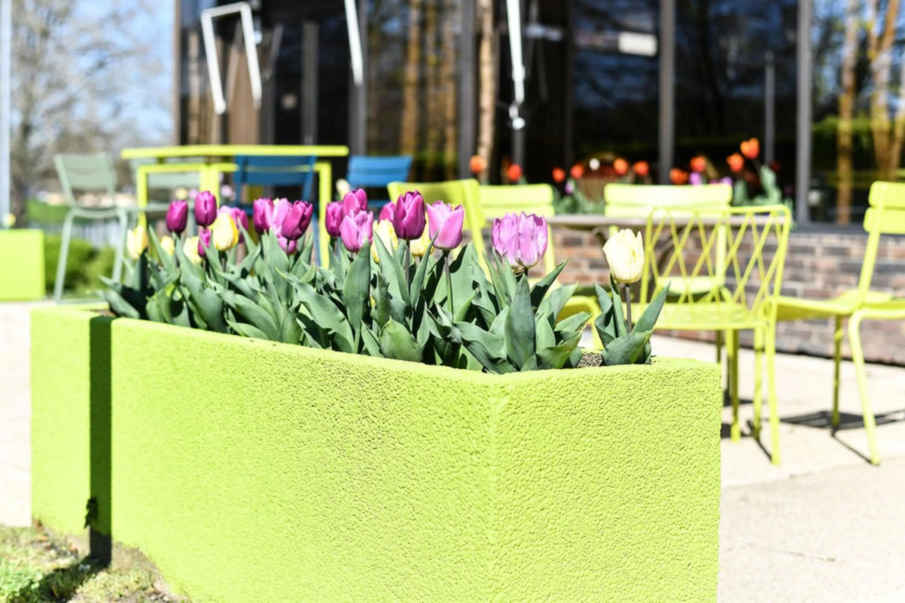 Garden in Novotel Paris Créteil Le Lac