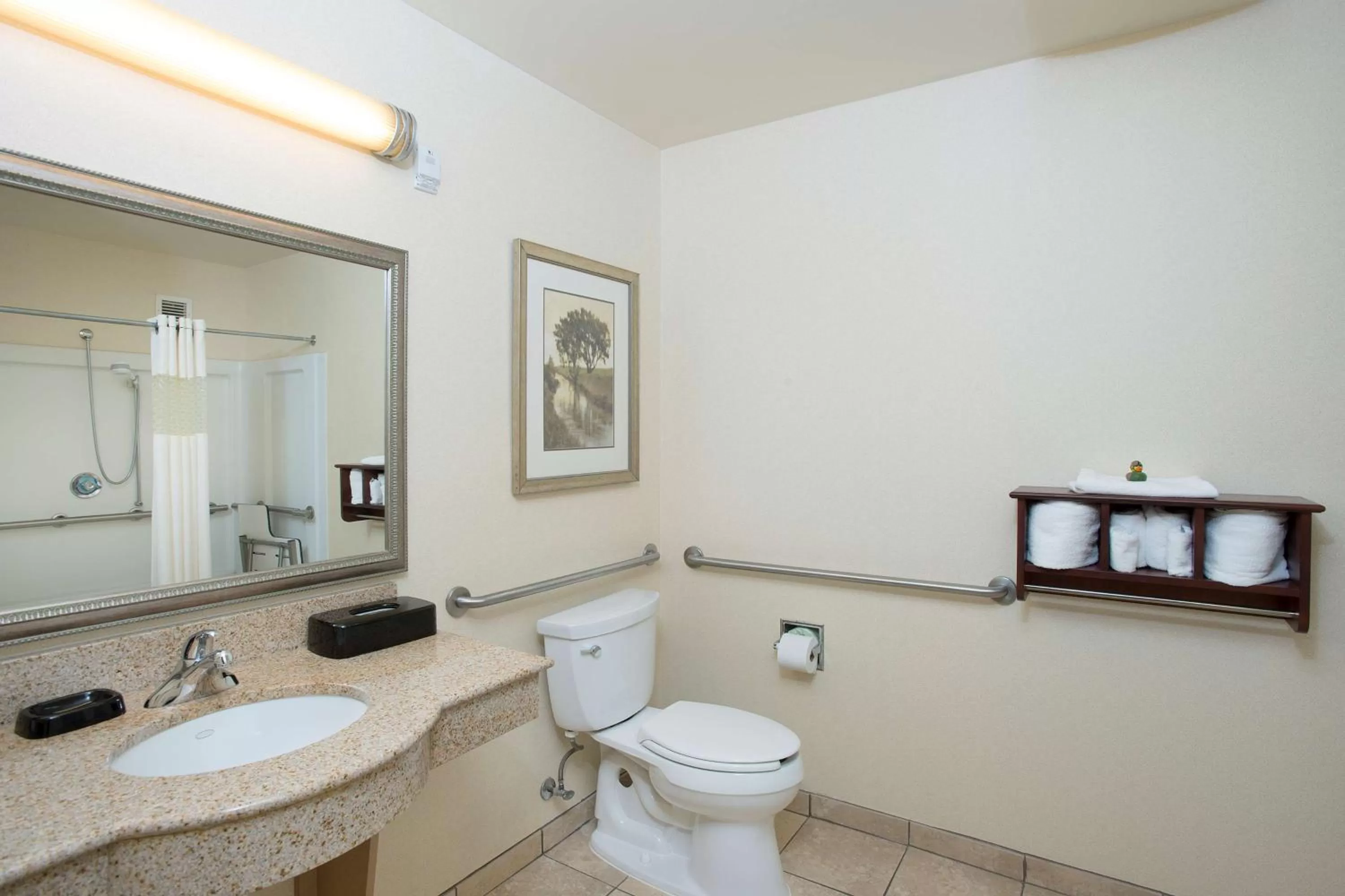 Bathroom in Hampton Inn & Suites Cincinnati-Union Centre